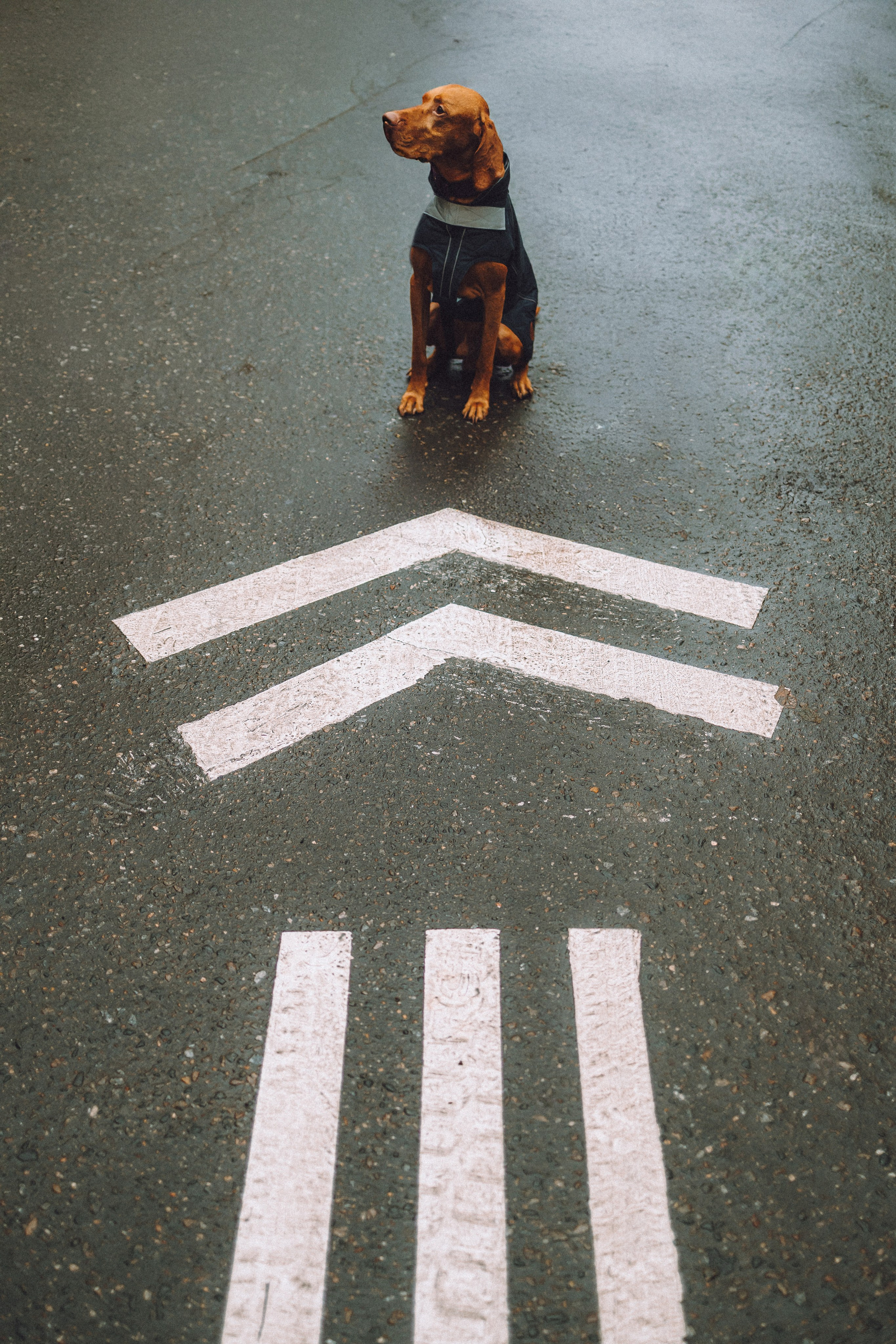 Екатерина и Даня