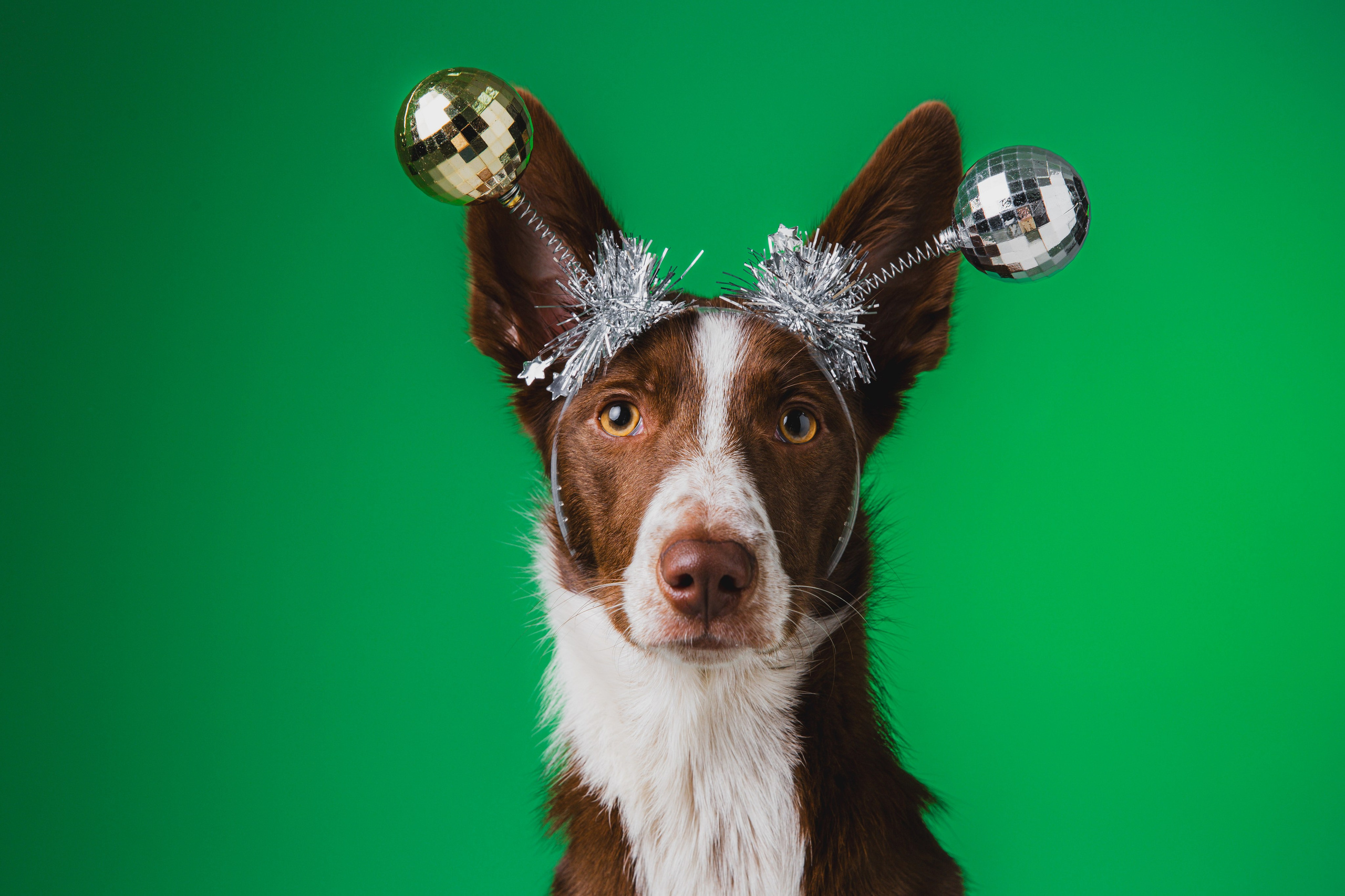 Воркшоп по импульсному свету