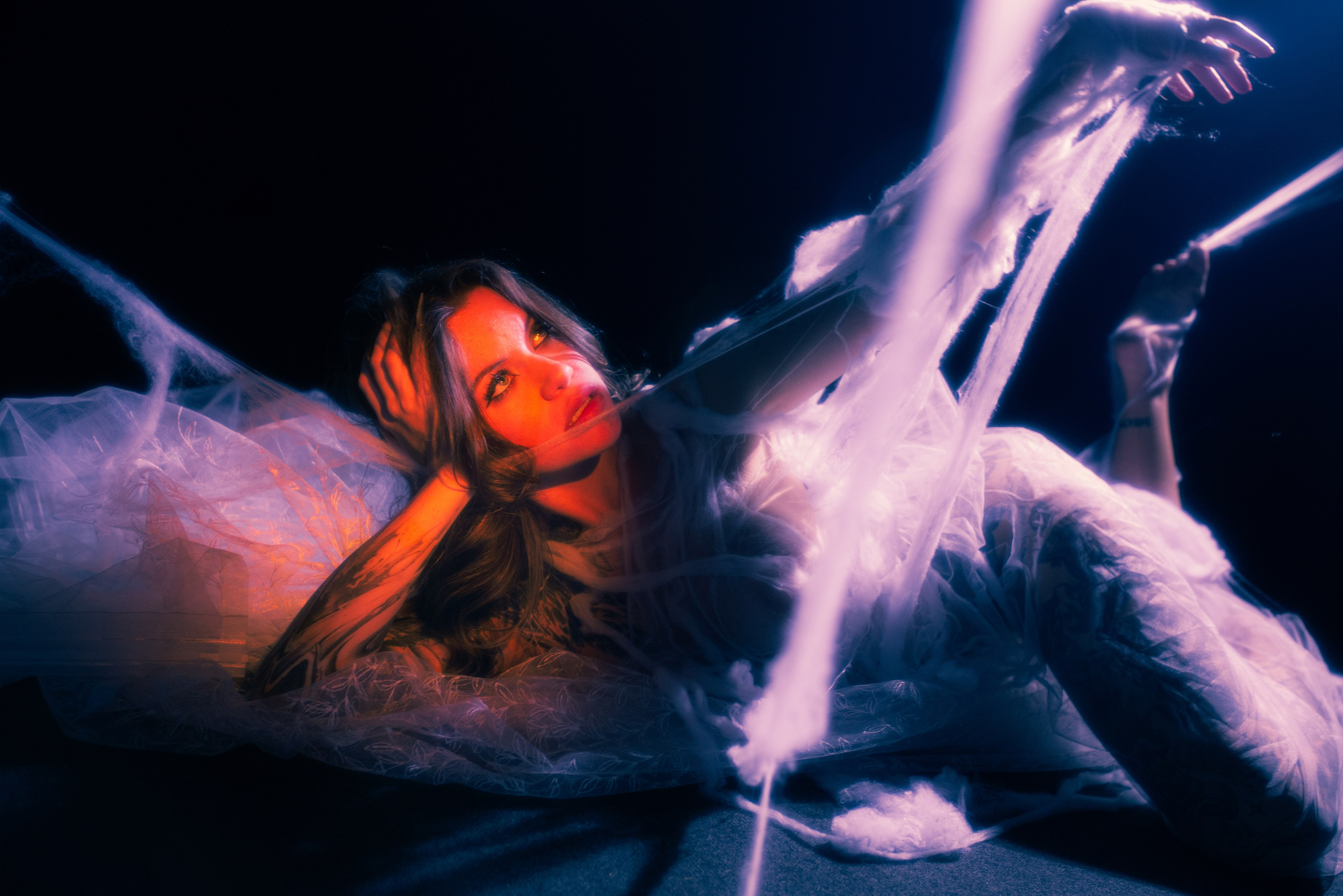 Diibae spider. Фотограф из Санкт-Петербурга Валерия Ленских