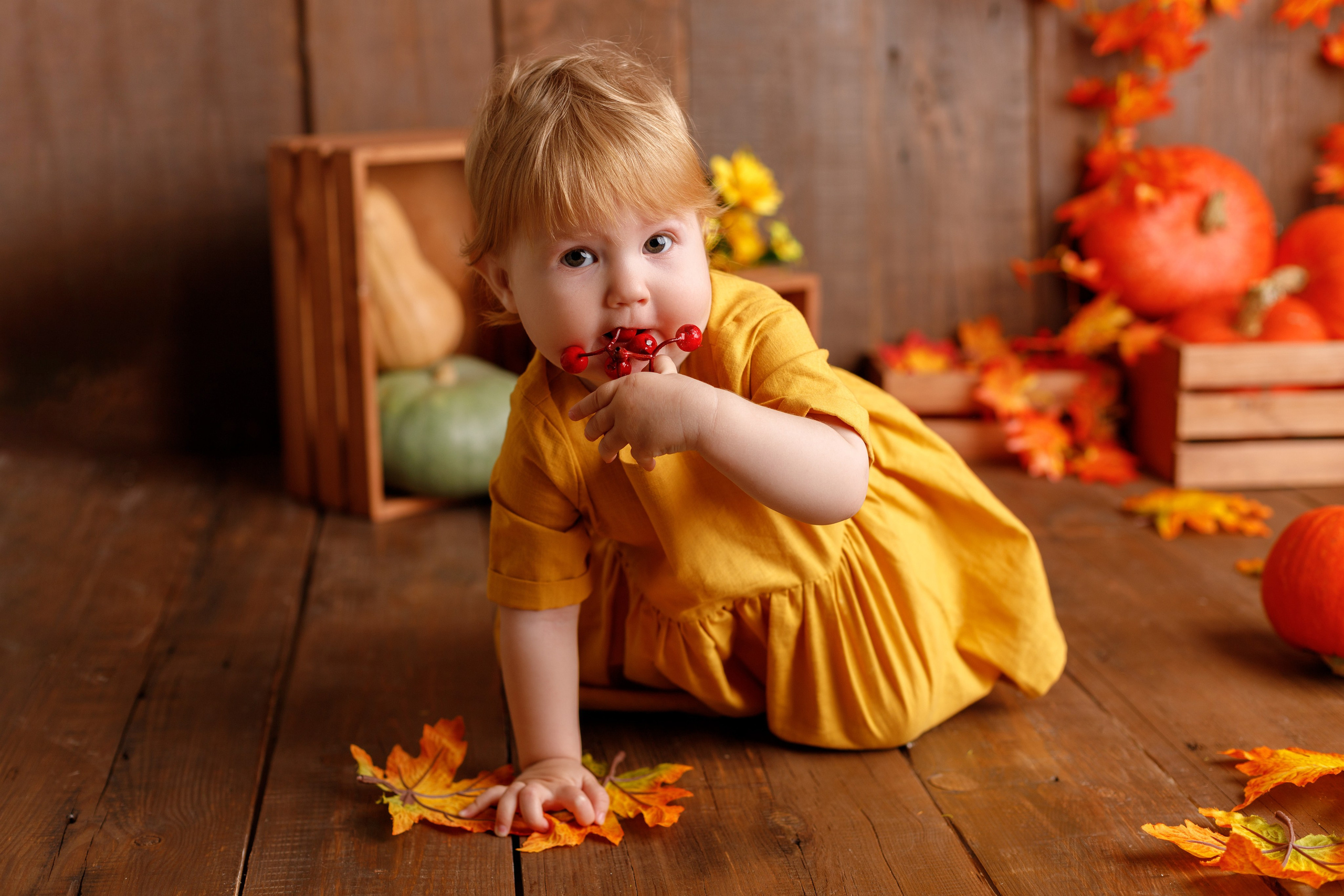 Осенний фотопроект. Фотограф новорожденных, детский фотограф в г. Оренбурге Екатерина Козлова