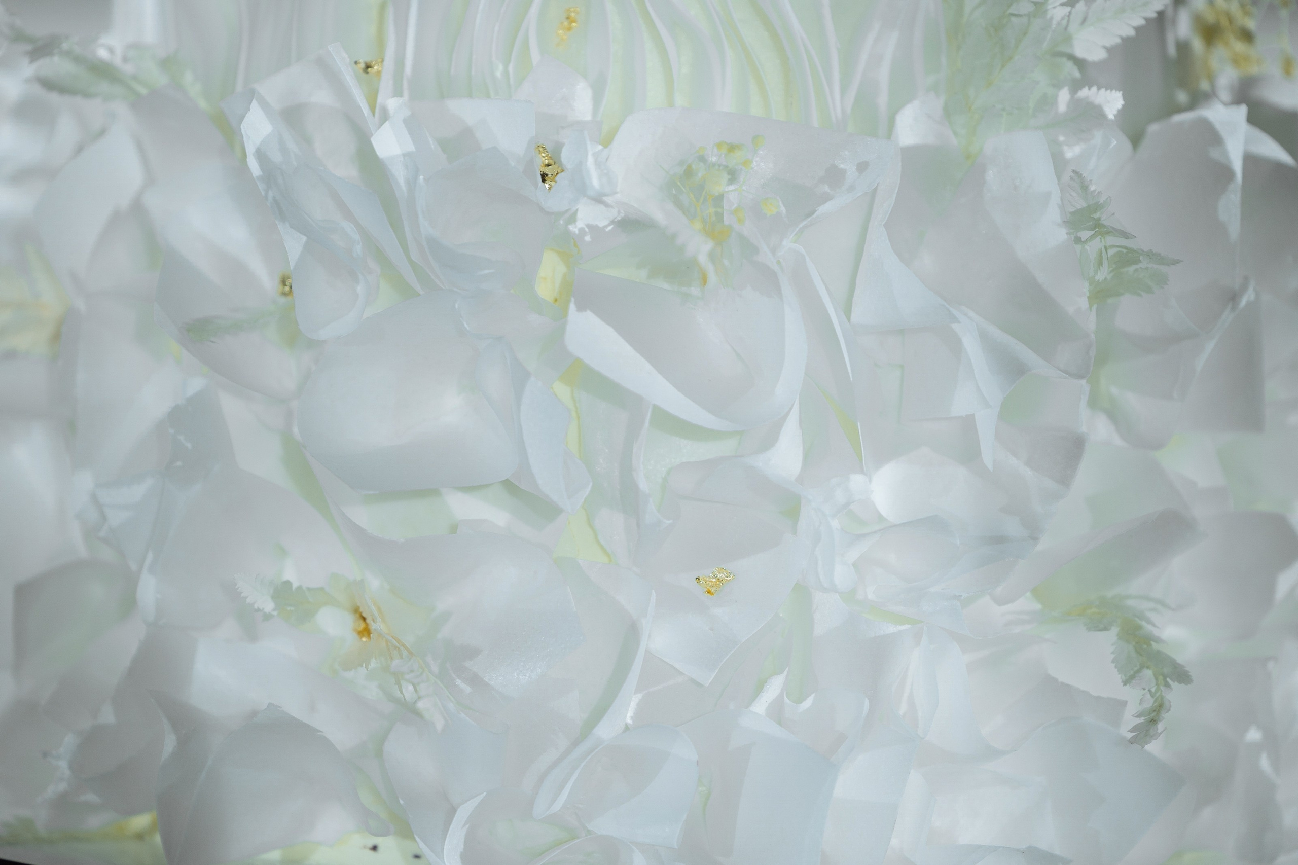 Павел и Яна. Свадебный фотограф в Ростове — на — Дону Александра Пивоварова