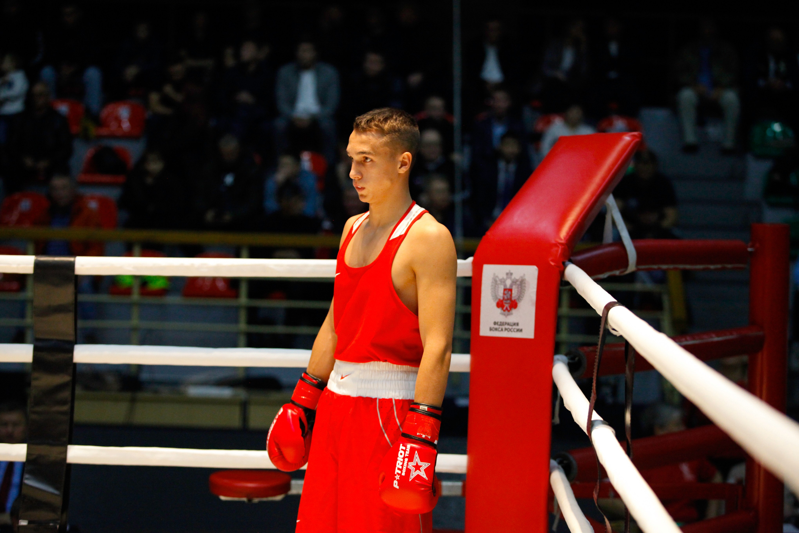 БОКС. Фото. Спортивный фотограф, трансляция, звук и свет в Новосибирске