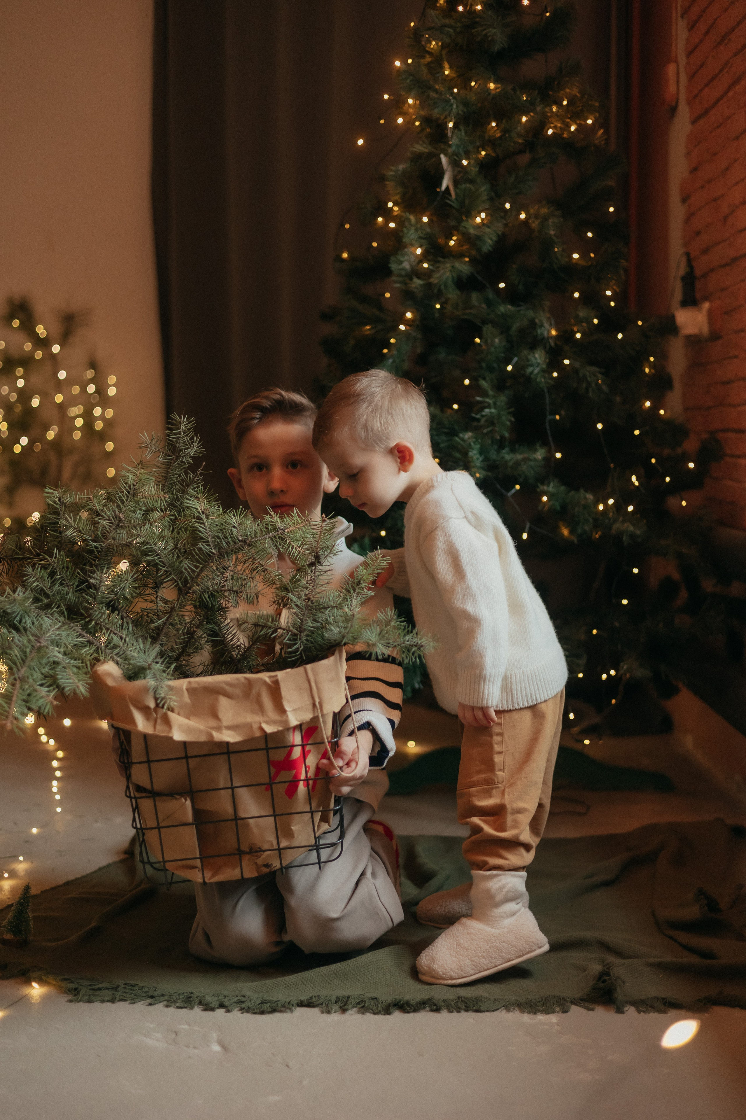 Гоша и Яша. Ваш фотограф в г. Волгоград и по всей России Севастьянова Ульяна
