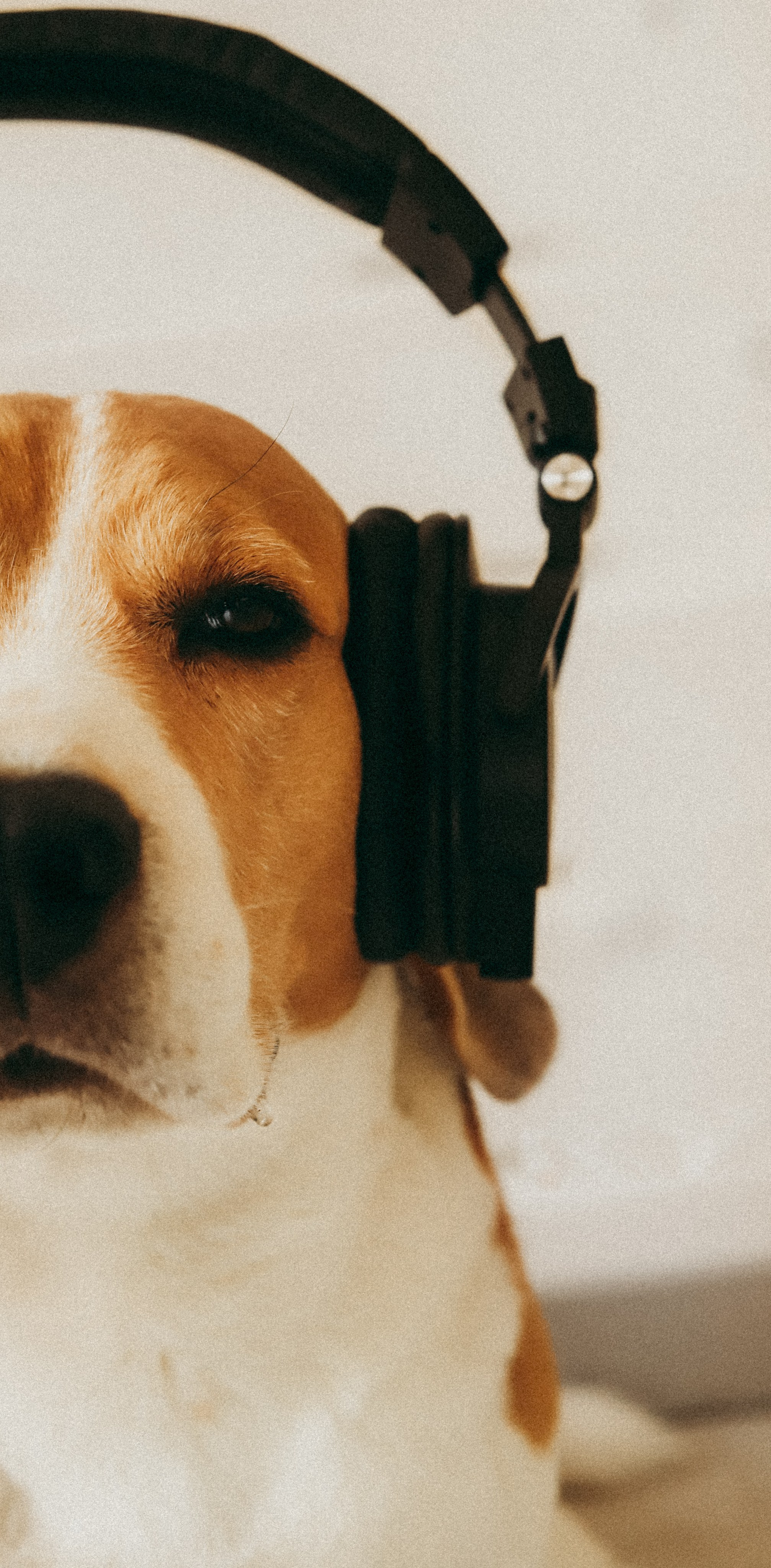 Семейное. Фотограф Москва и Санкт-Петербург