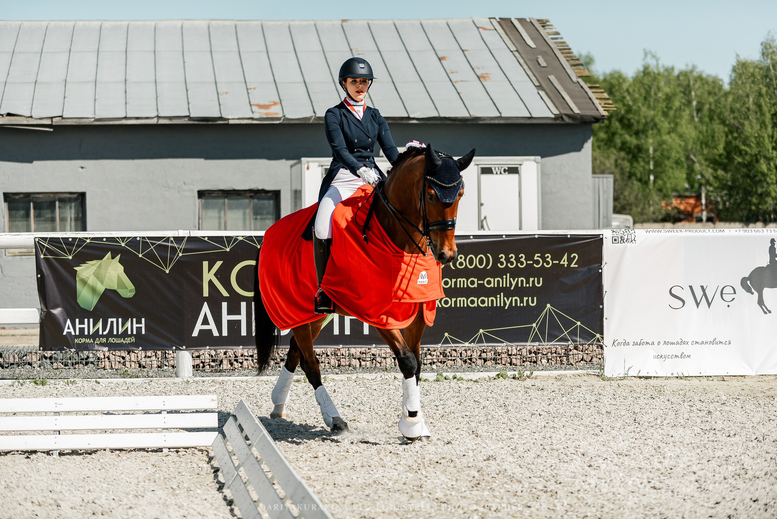 РЕПОРТАЖ МКК ВОЛЬТ «LA TULIPS». Конный фотограф Куракина Дарья • Фотосессии с лошадьми