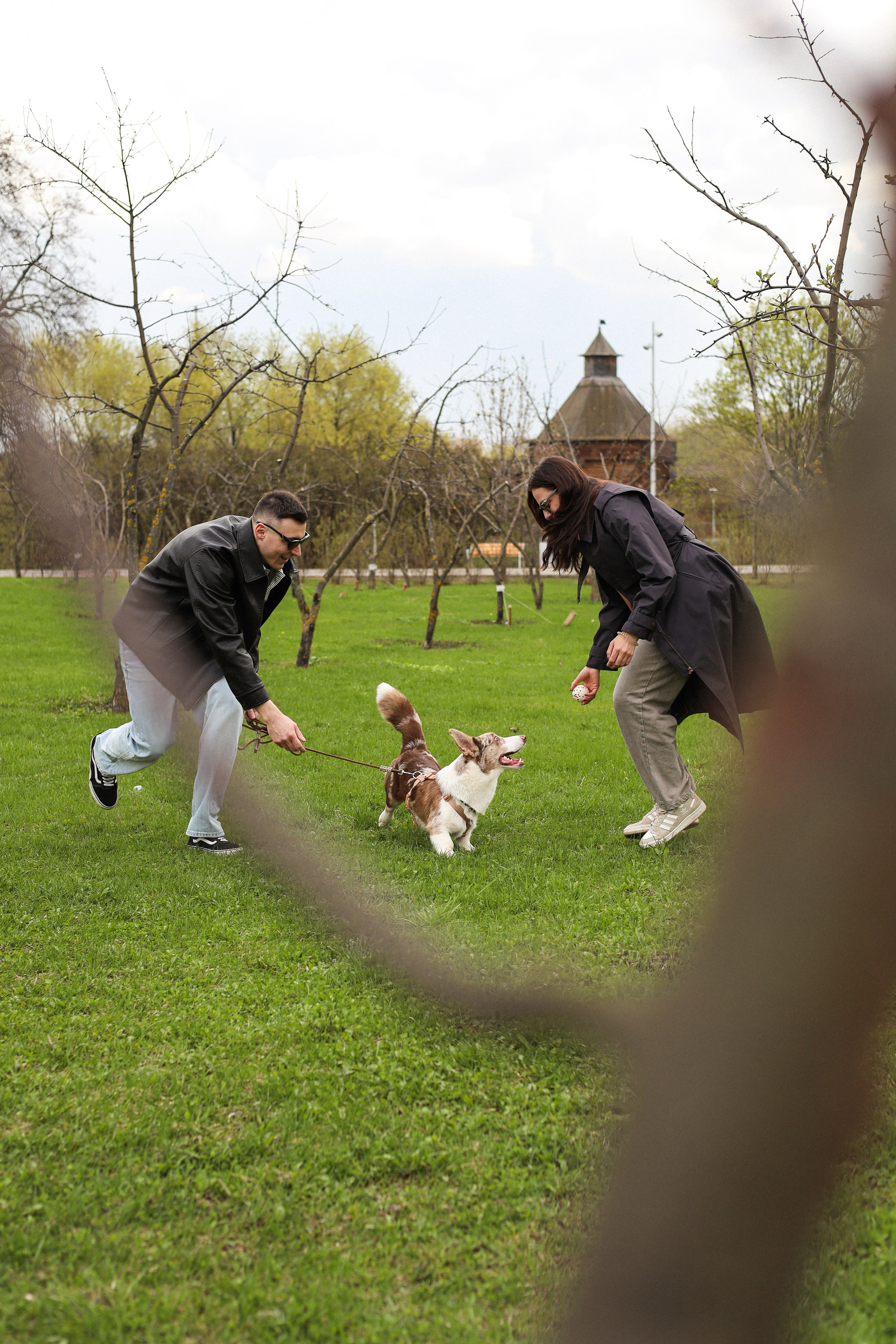 Анджей, Софья и Андрей. Фотограф-анималист Ксения Шевцова|Москва