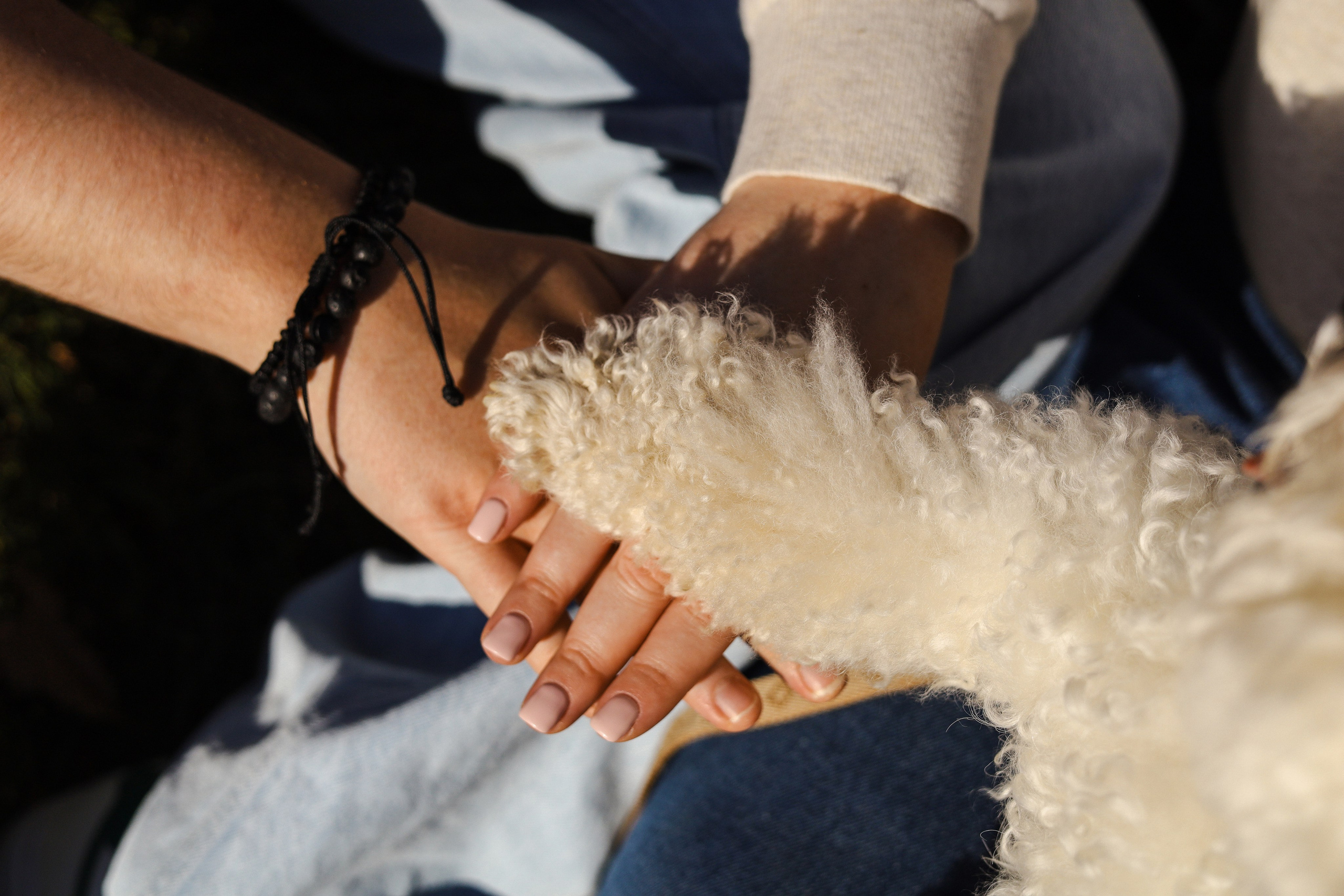 Тимоша, Катя и Вова. Фотограф-анималист Ксения Шевцова|Москва