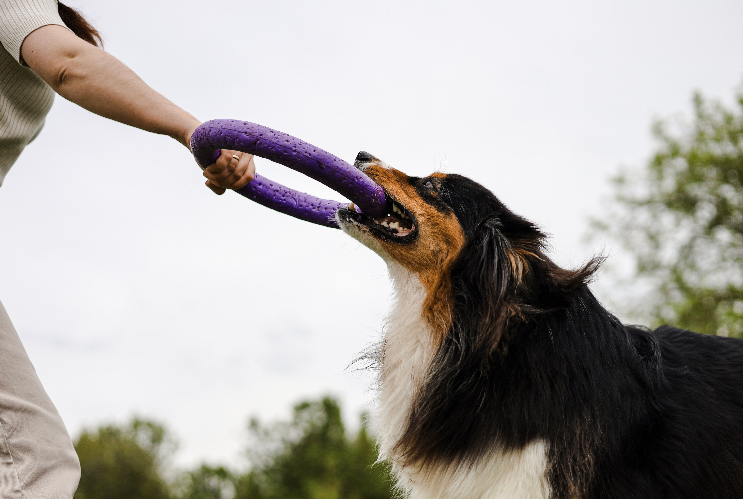 Келли и Света. Фотограф-анималист Ксения Шевцова|Москва