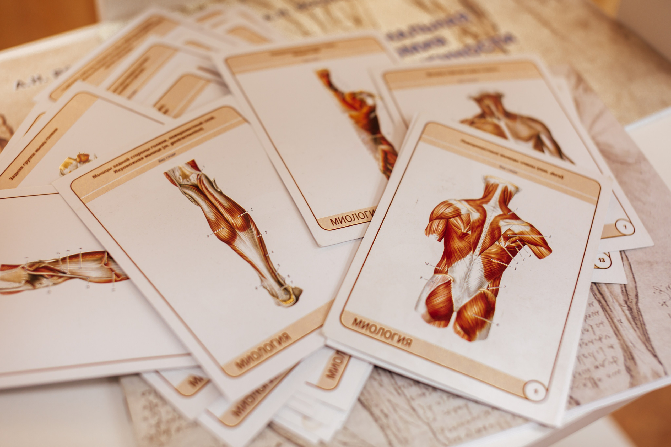 В работе. Https://esmassage.ru