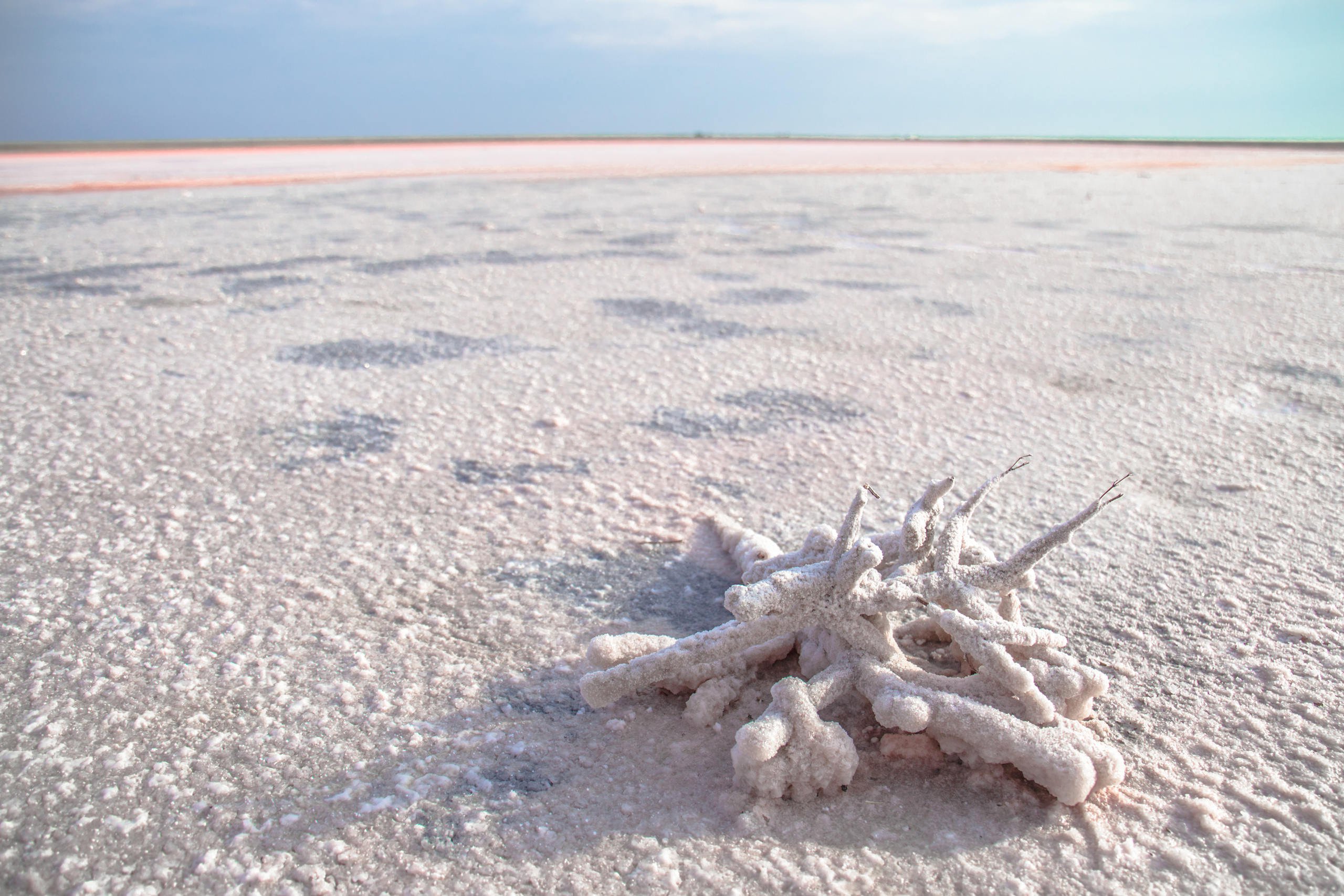 Природа. Фотограф и видеограф в Стокгольме — Любовь Лангер