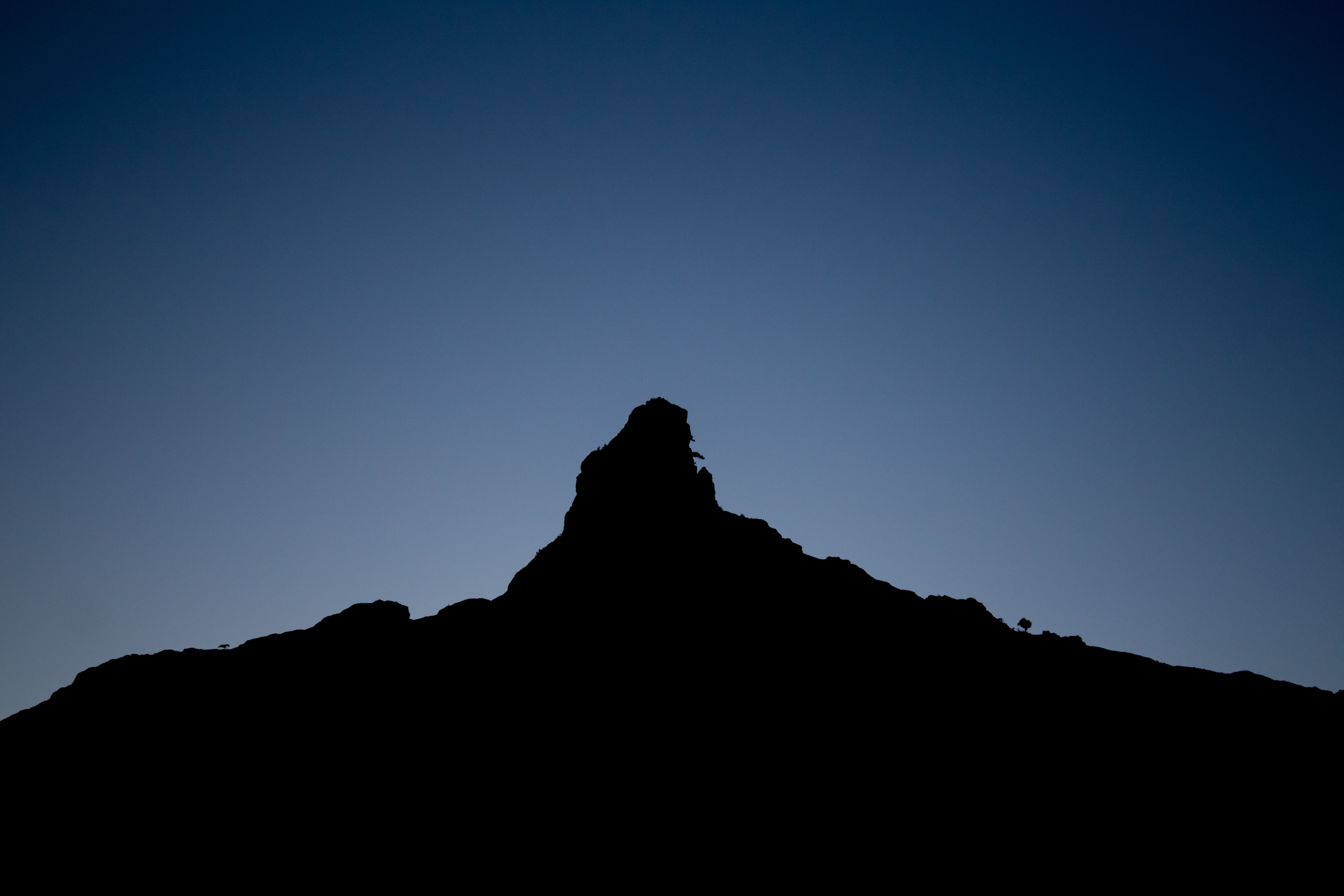 Природа. Фотограф и видеограф в Стокгольме — Любовь Лангер