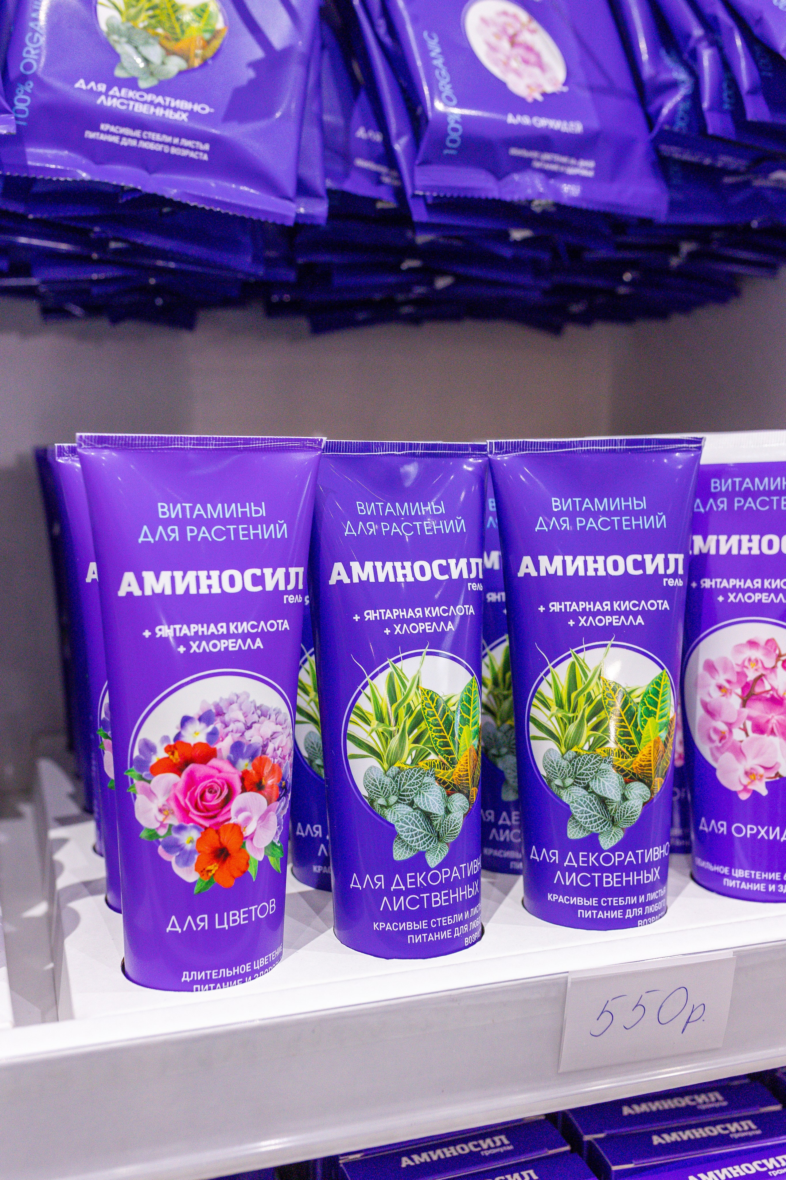 Монстериум 11–12 октября. Александра Куликова фотограф, Москва