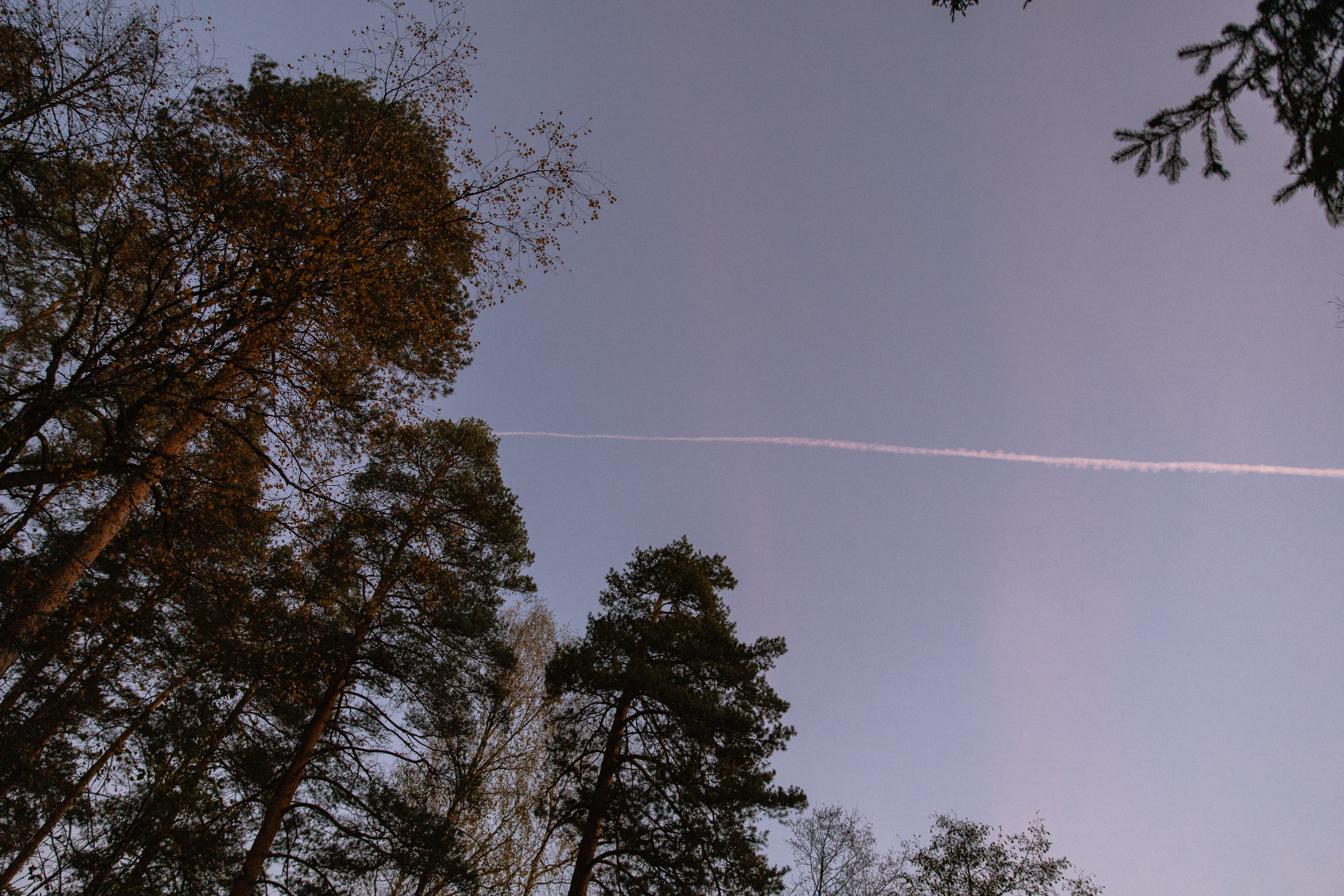 Миша и Юля, осень. Фотограф Ульяна Дивина в Нижнем Новгороде и Нижегородской области