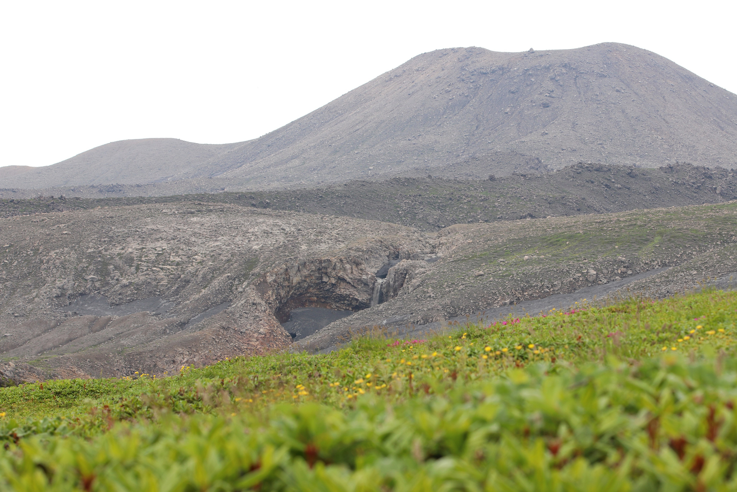 Камчатка и о. Парамушир. Июль 2024. Путешественник-фотограф из Санкт-Петербурга Татьяна Свистулина