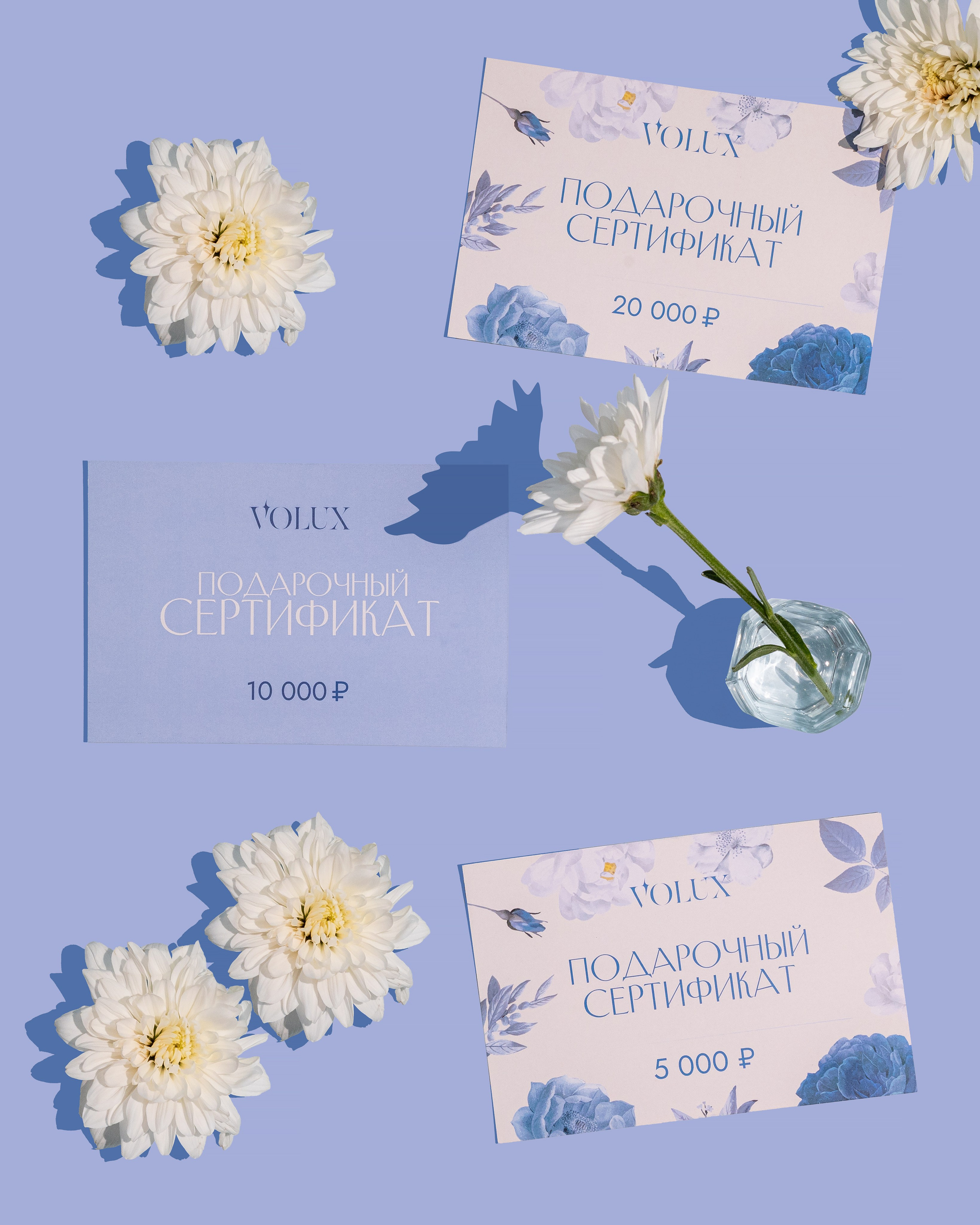 Клиенты. Фотограф и motion аниматор Екатерина Синевич