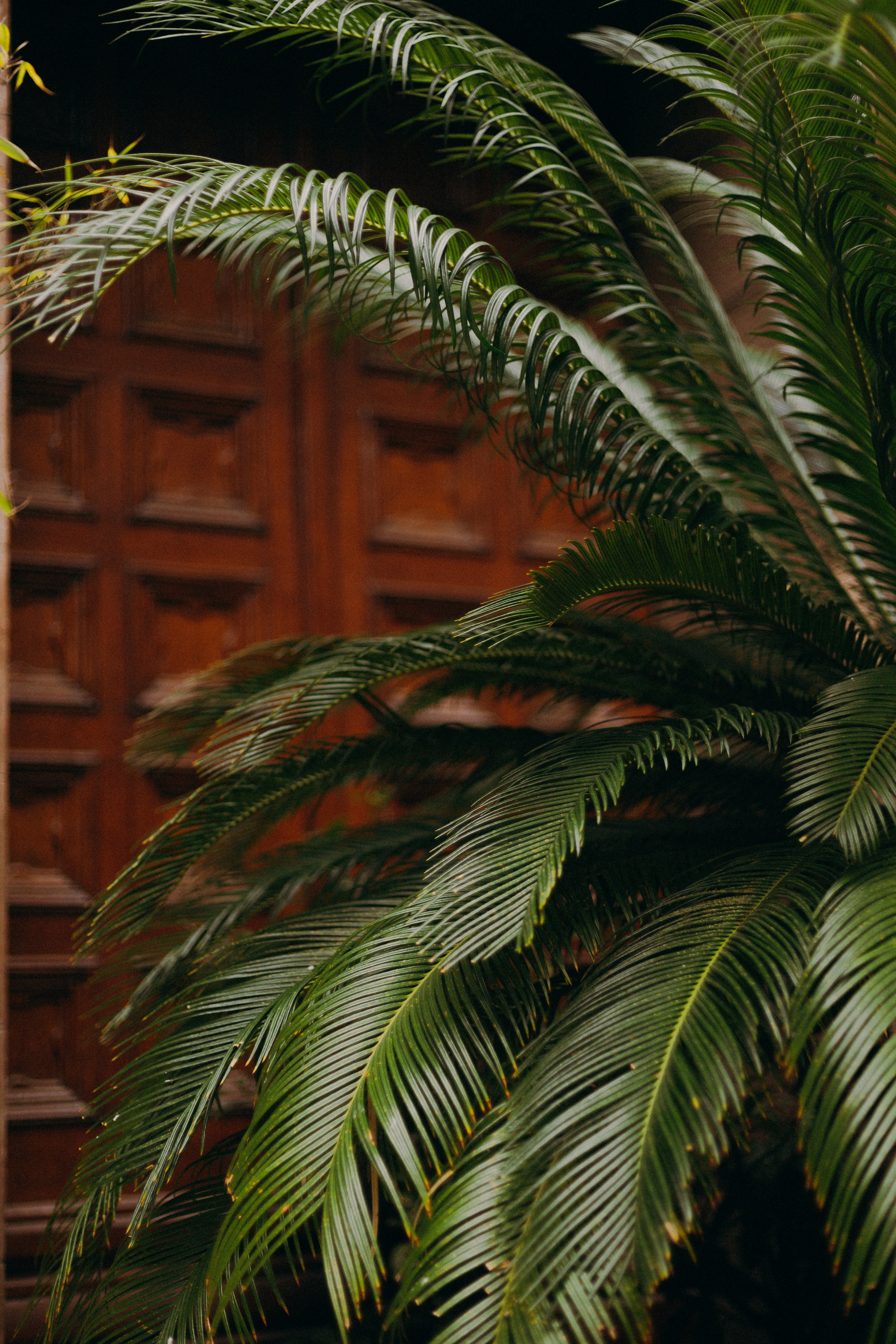 Стамбул. Профессиональный Фотограф во Владимире, в Москве и в Суздале — Полина Романычева