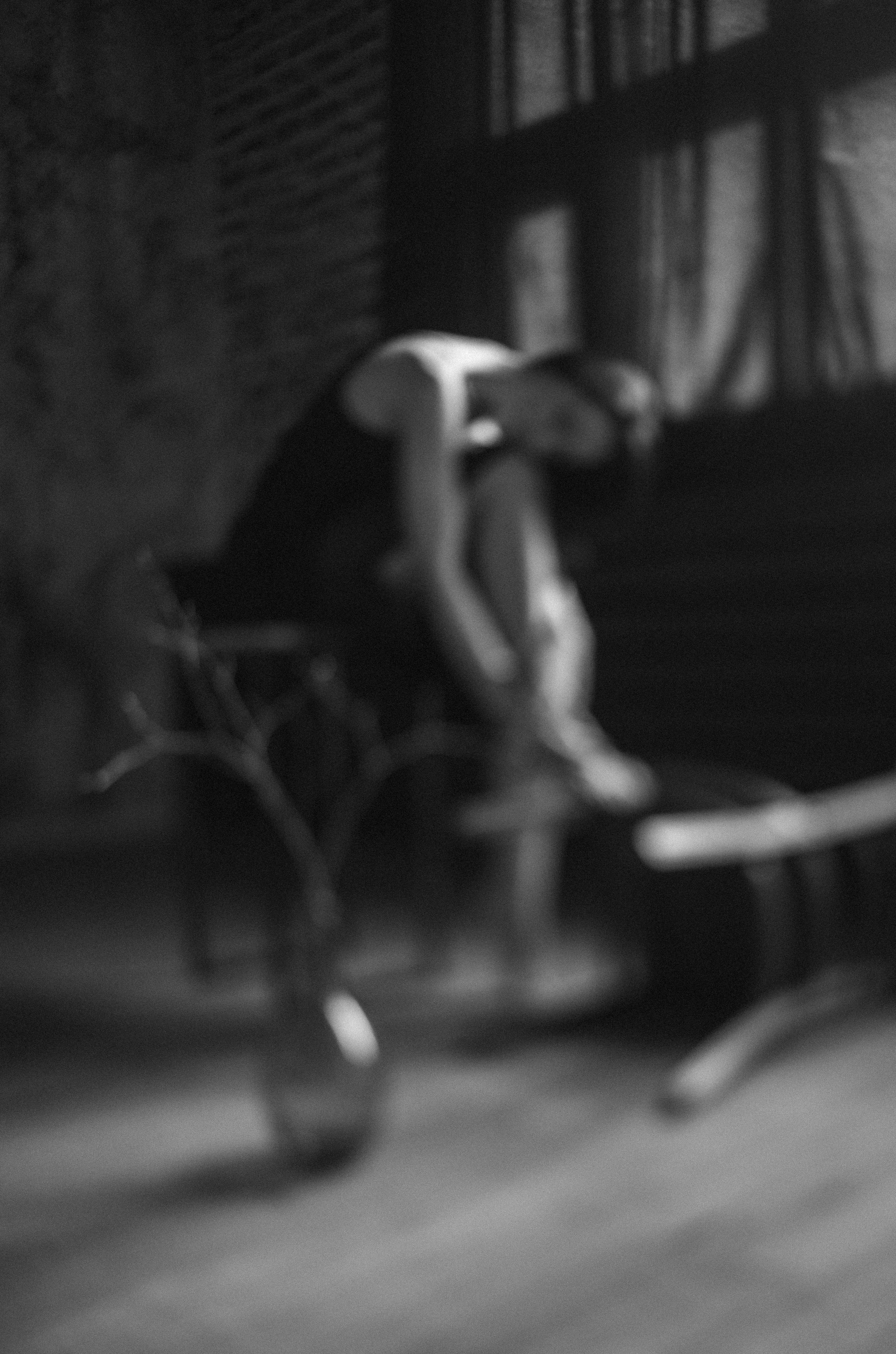 Оля. Женский семейный фотограф Тула Москва Захарова Анна