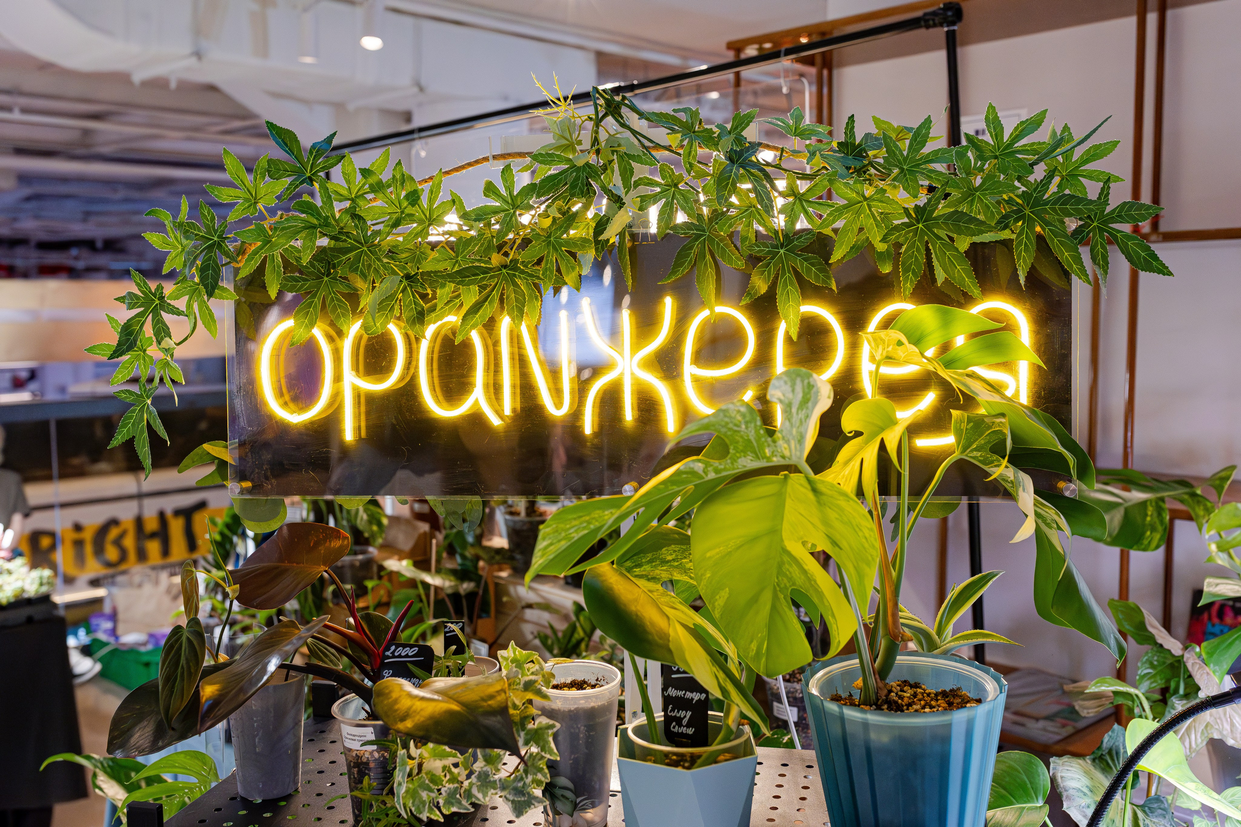 Growbox 1–2 марта. Александра Куликова фотограф, Москва