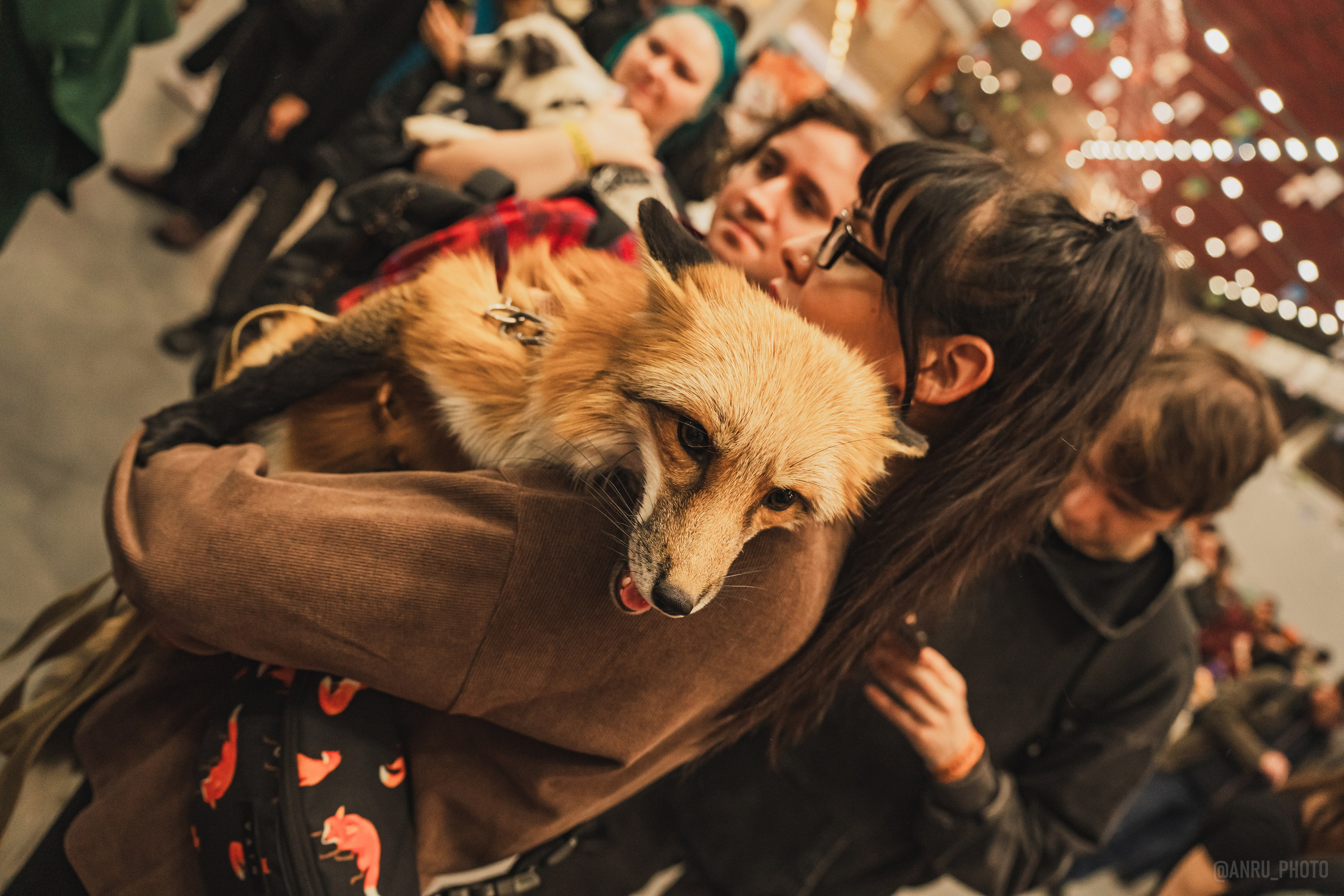 Fox Family fest. Репортажный фотограф Анастасия Рубцова