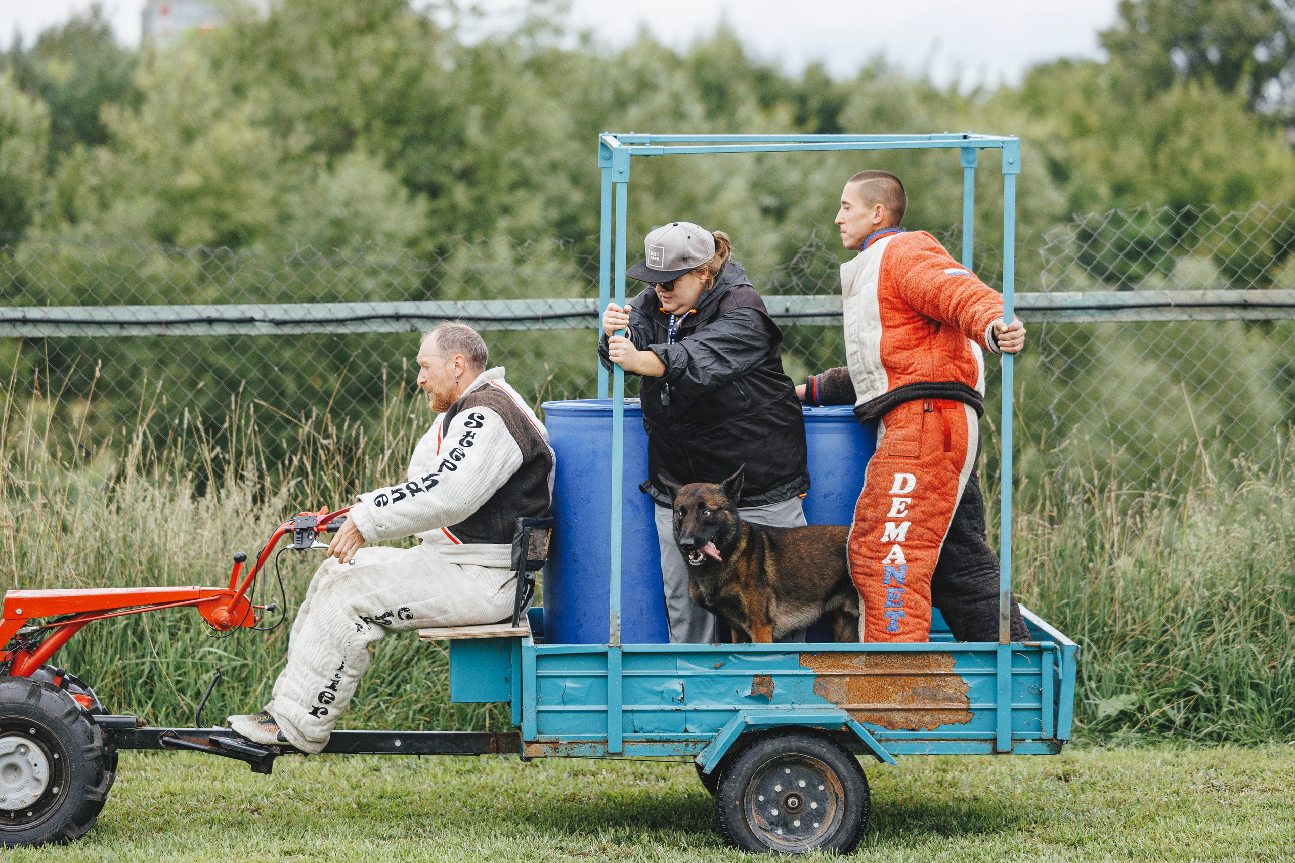 08.08.25-10.08.25 ЧР по мондьорингу г. Вологда. Фотограф-анималист Анна Маринич
