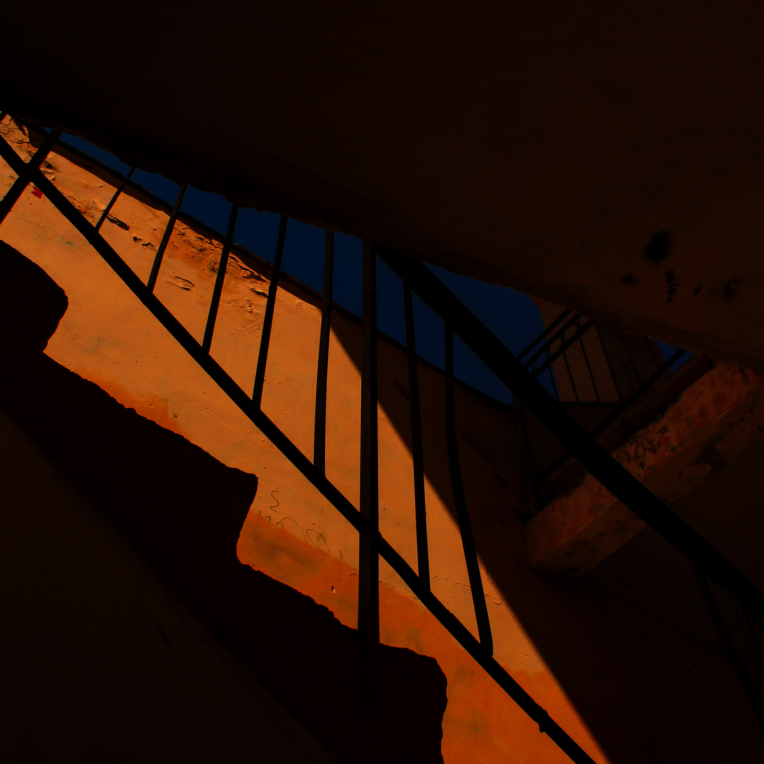 Summertime. Фотограф/дизайнер в Екатеринбурге Хитрый Дмитрий