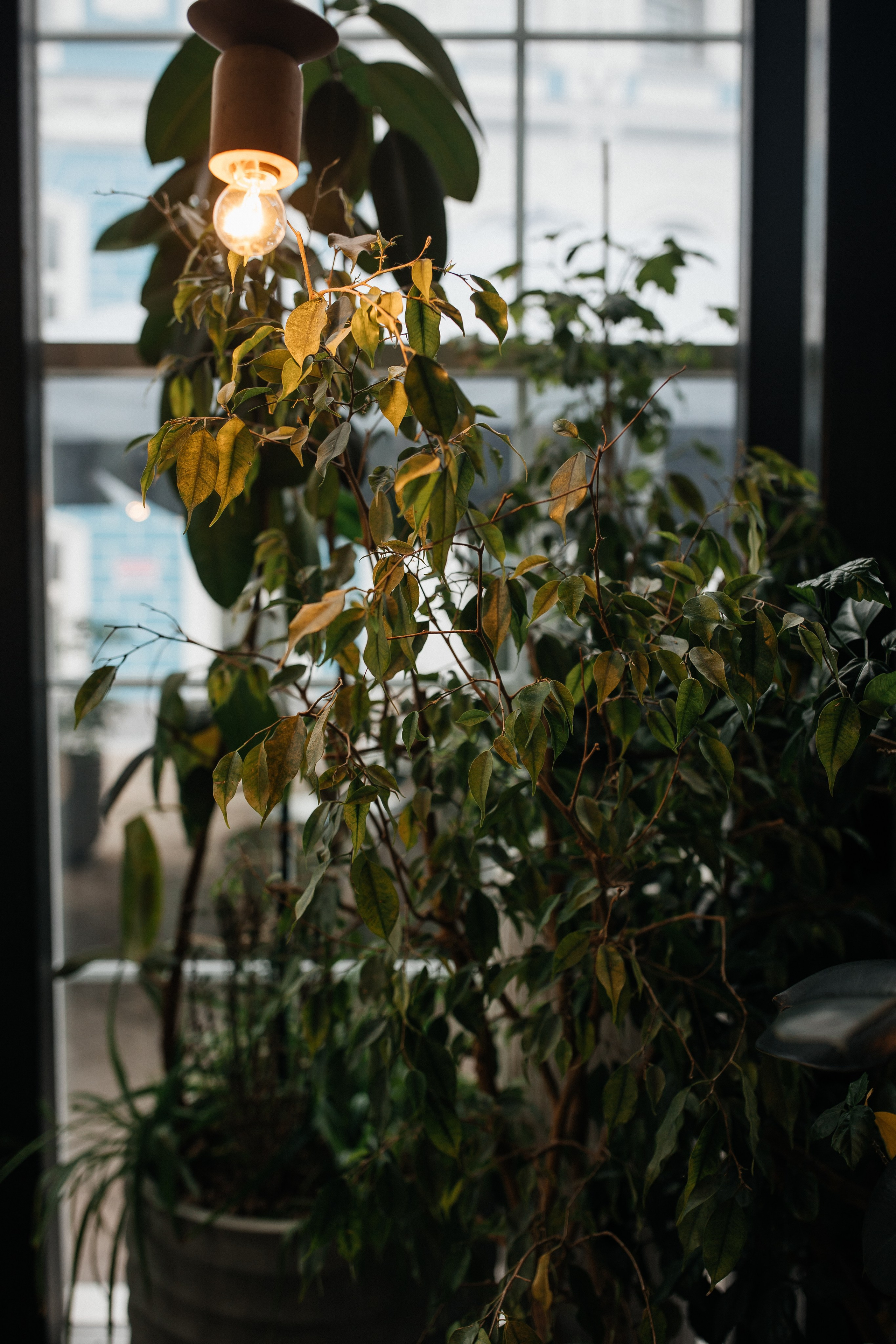 Роман & Вероника. СВАДЕБНЫЙ ФОТОГРАФ ЕВГЕНИЯ МОДИНА Ярославль