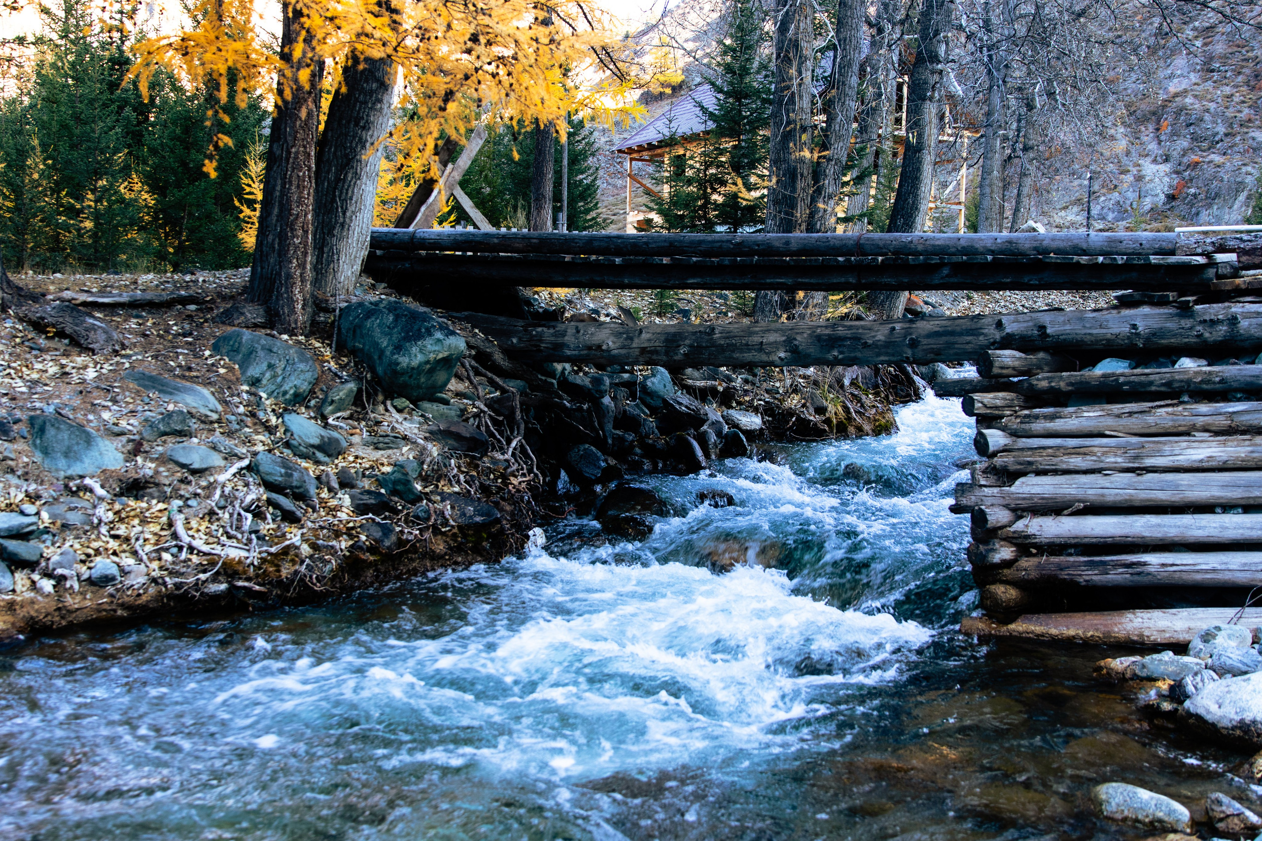 Мой Алтай. Фотограф Кирилл Мешков Кемерово