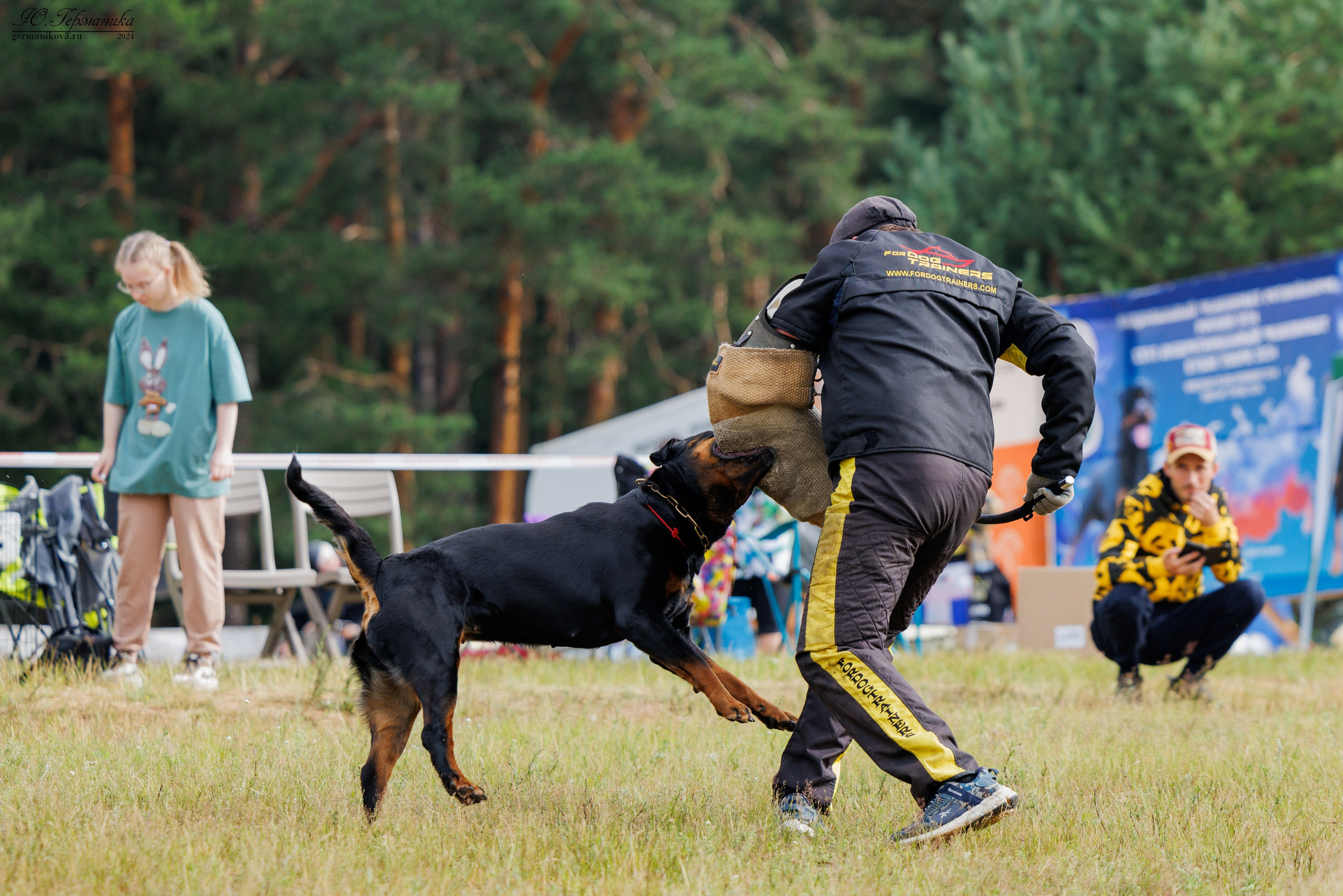 ПК и КЧК ротвейлеры Тверь 6-7.07.2024. Фотограф-анималист Юлия Германика