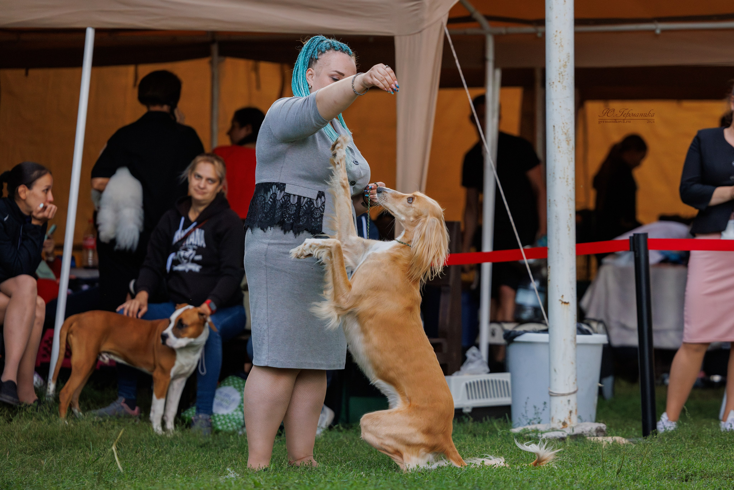 Астана 2хCACIB 17-18.08.2024. Фотограф-анималист Юлия Германика