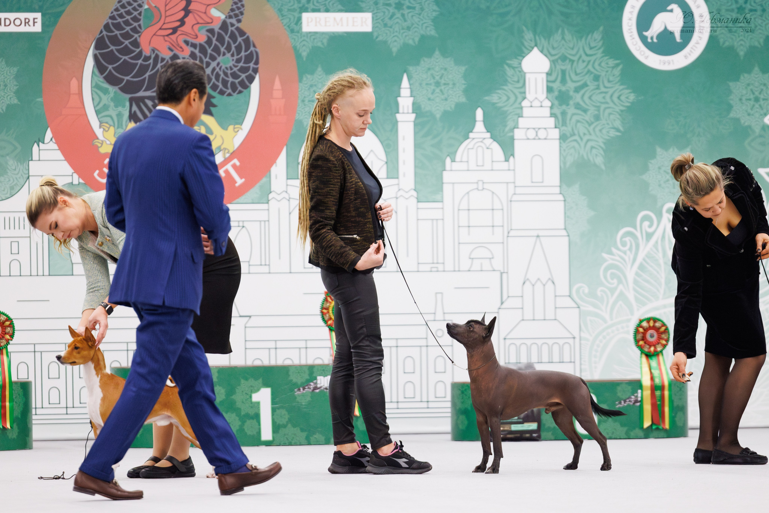 Казань Зилант 30-01.12 2024. Фотограф-анималист Юлия Германика