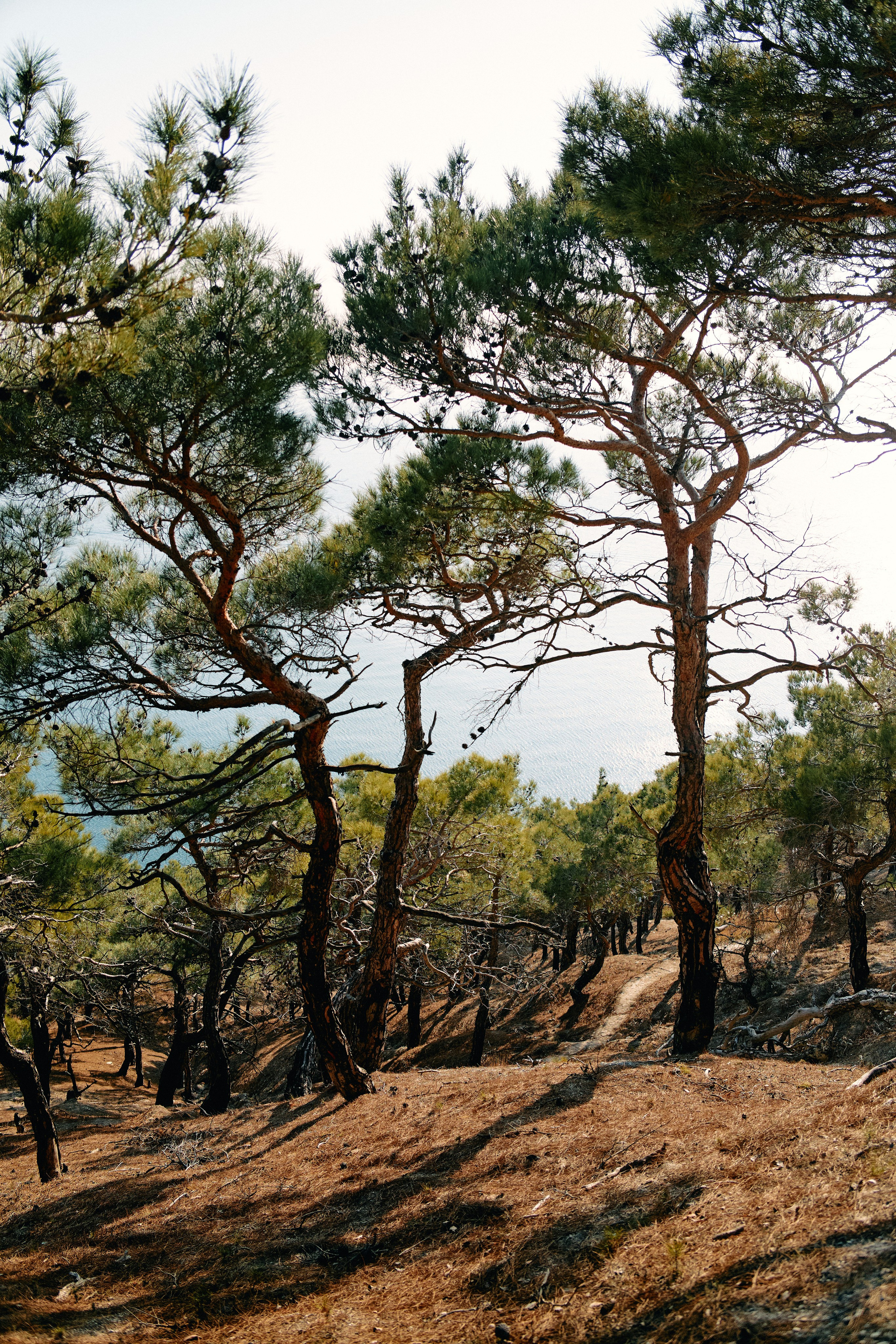 Юг России. Профессиональный Фотограф во Владимире, в Москве и в Суздале — Полина Романычева