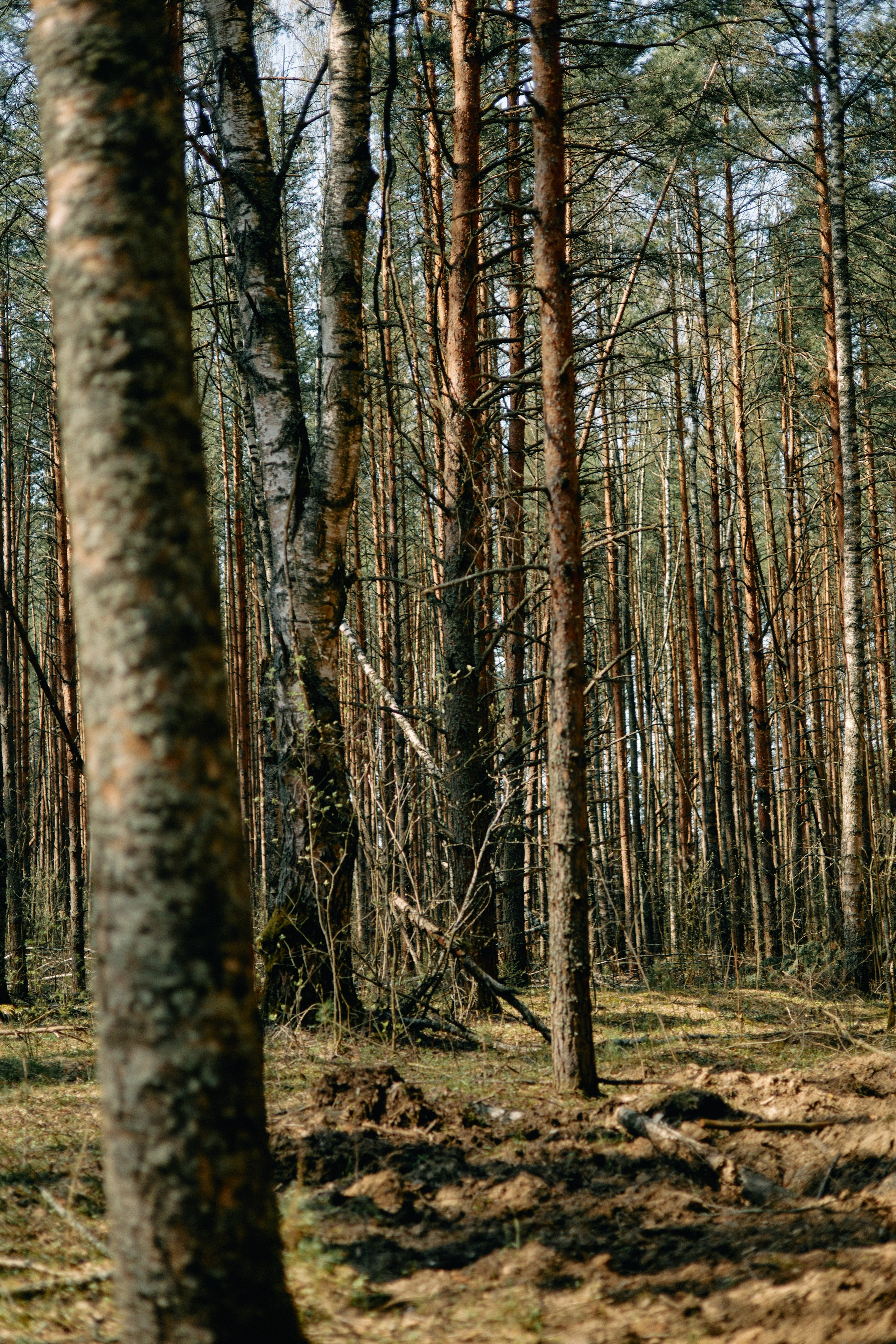 Бутик-отель Поле летом. Профессиональный Фотограф во Владимире, в Москве и в Суздале — Полина Романычева