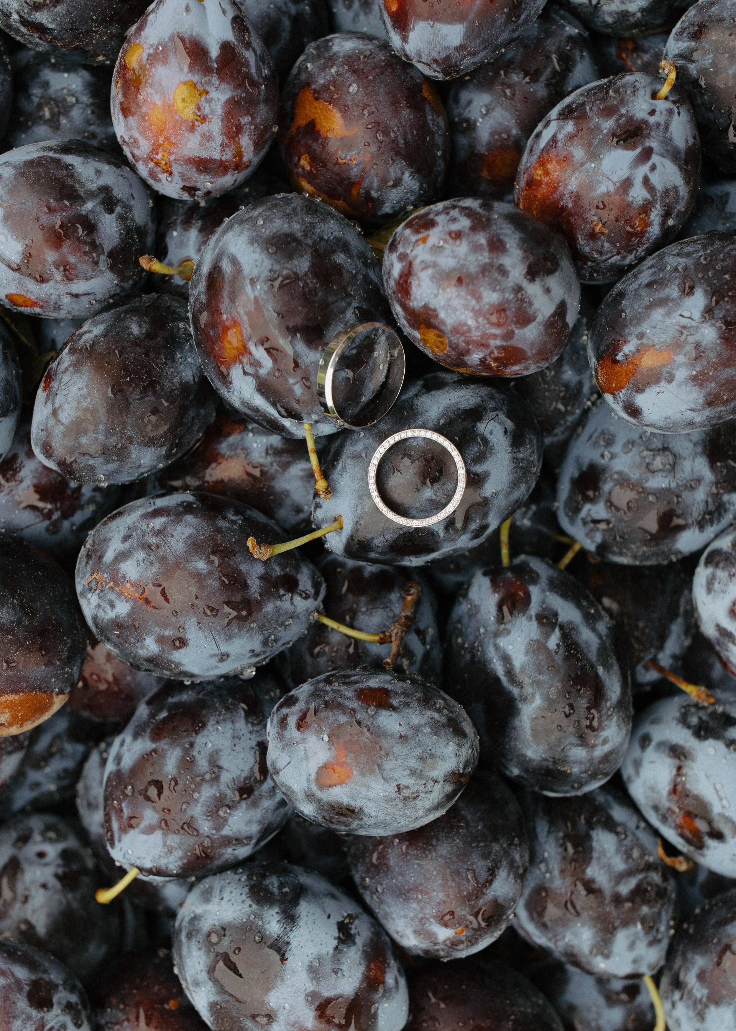 EDVA. Свадебный фотограф Минск