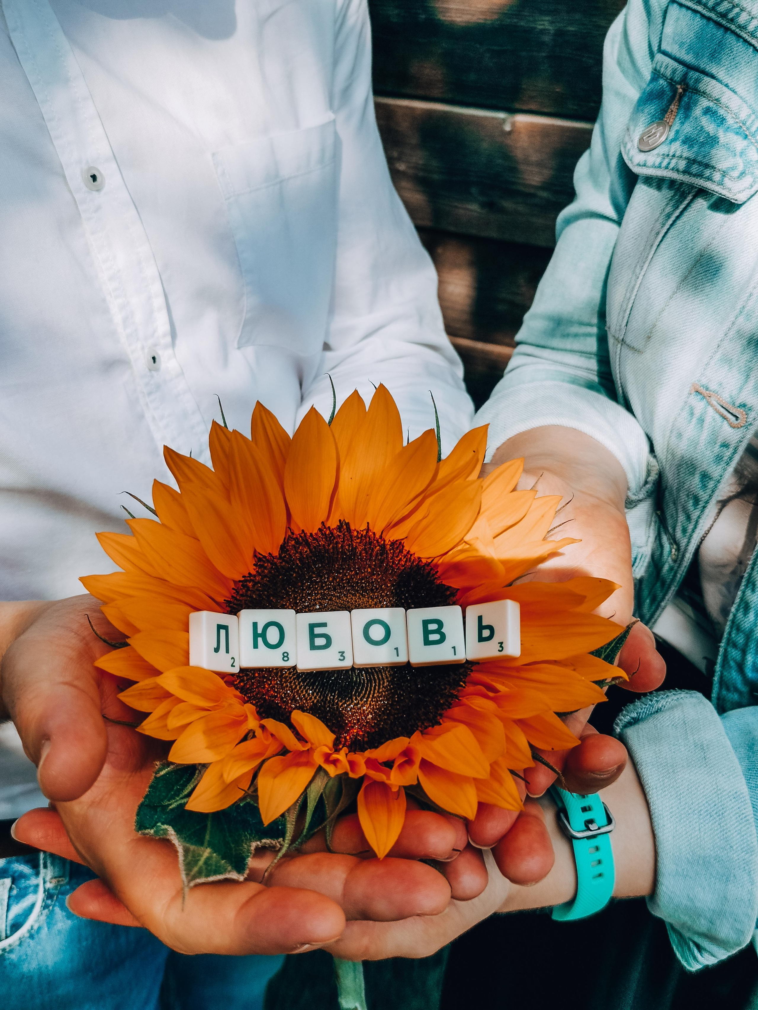 Love Story. Фотограф Анастасия Апархова