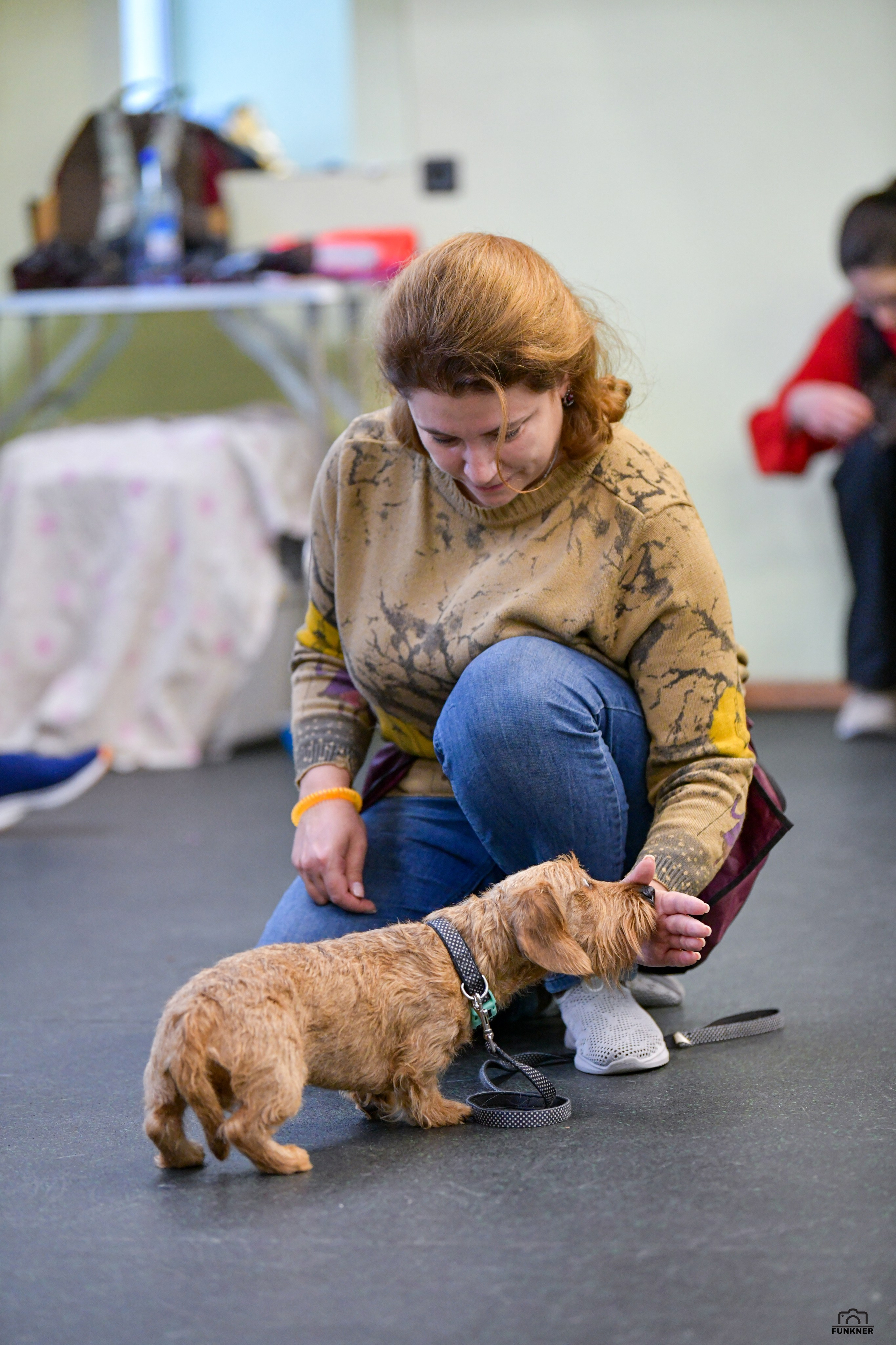 Кинологический клуб «Бодрый хвост». Свой взгляд через объектив