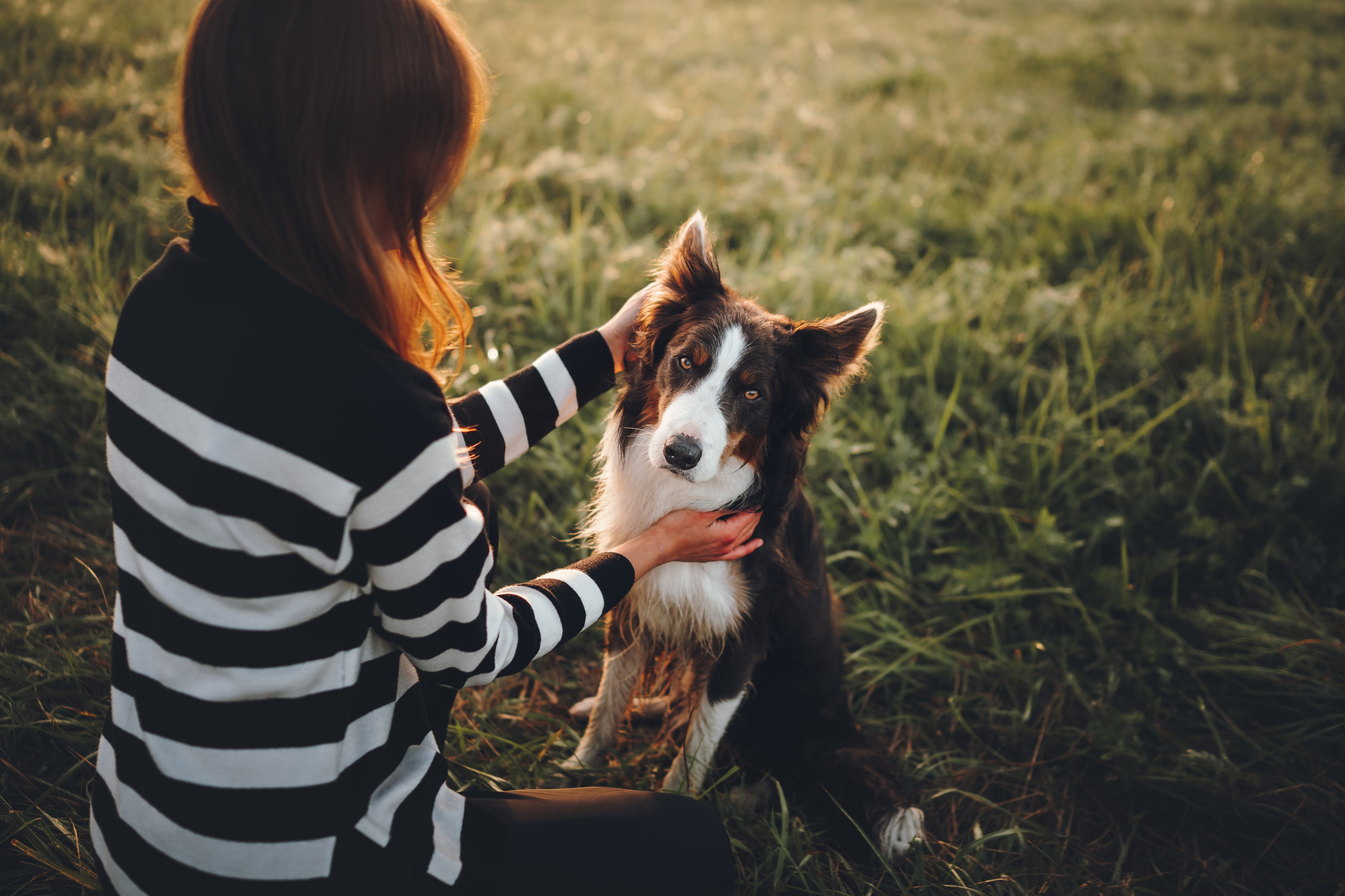 Саша, Флик и Эсприт. Семейный фотограф анималист Ананьева Мария — Москва