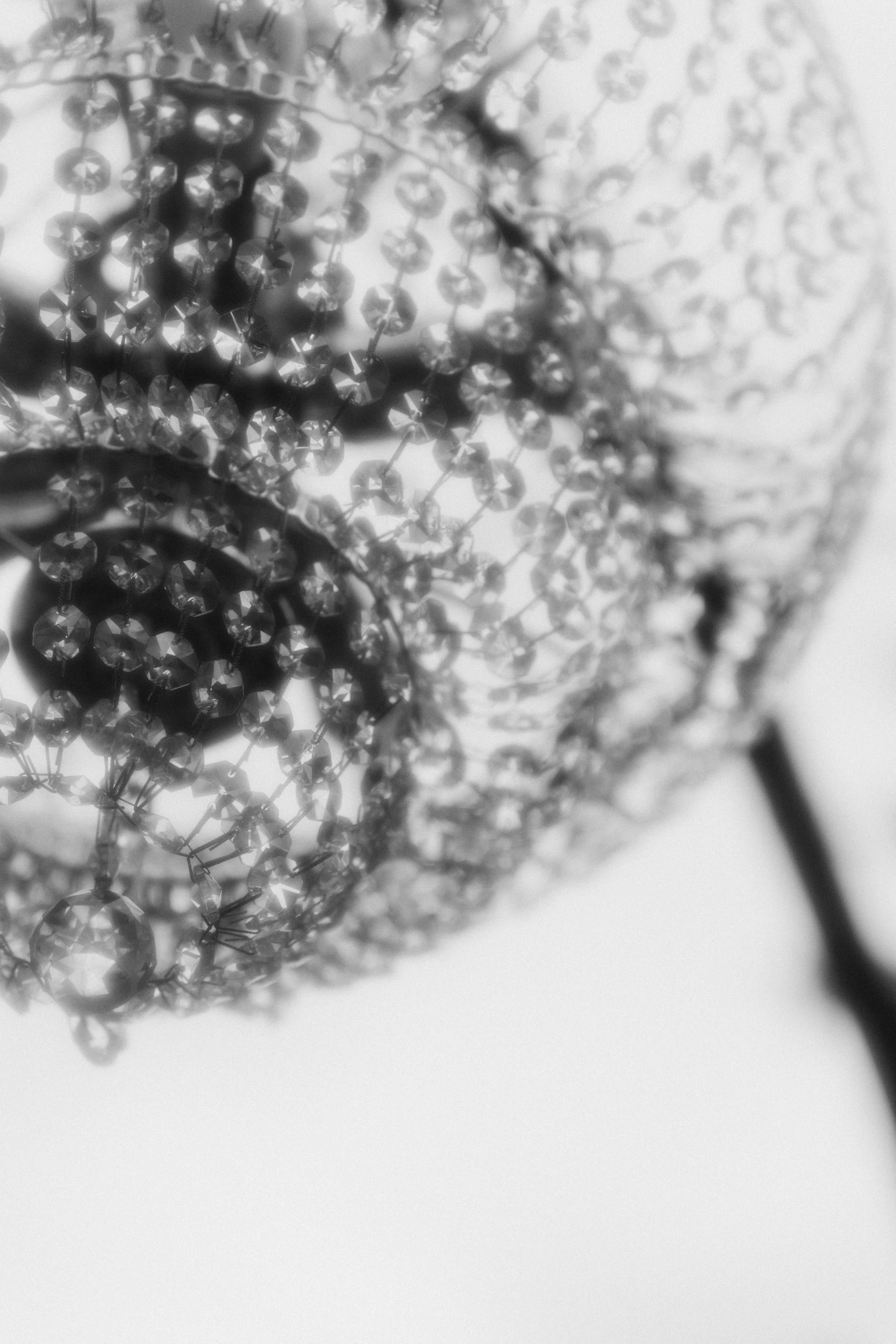 Виктория и Богдан. Ирина Гонтарева|Фотограф|Белгород