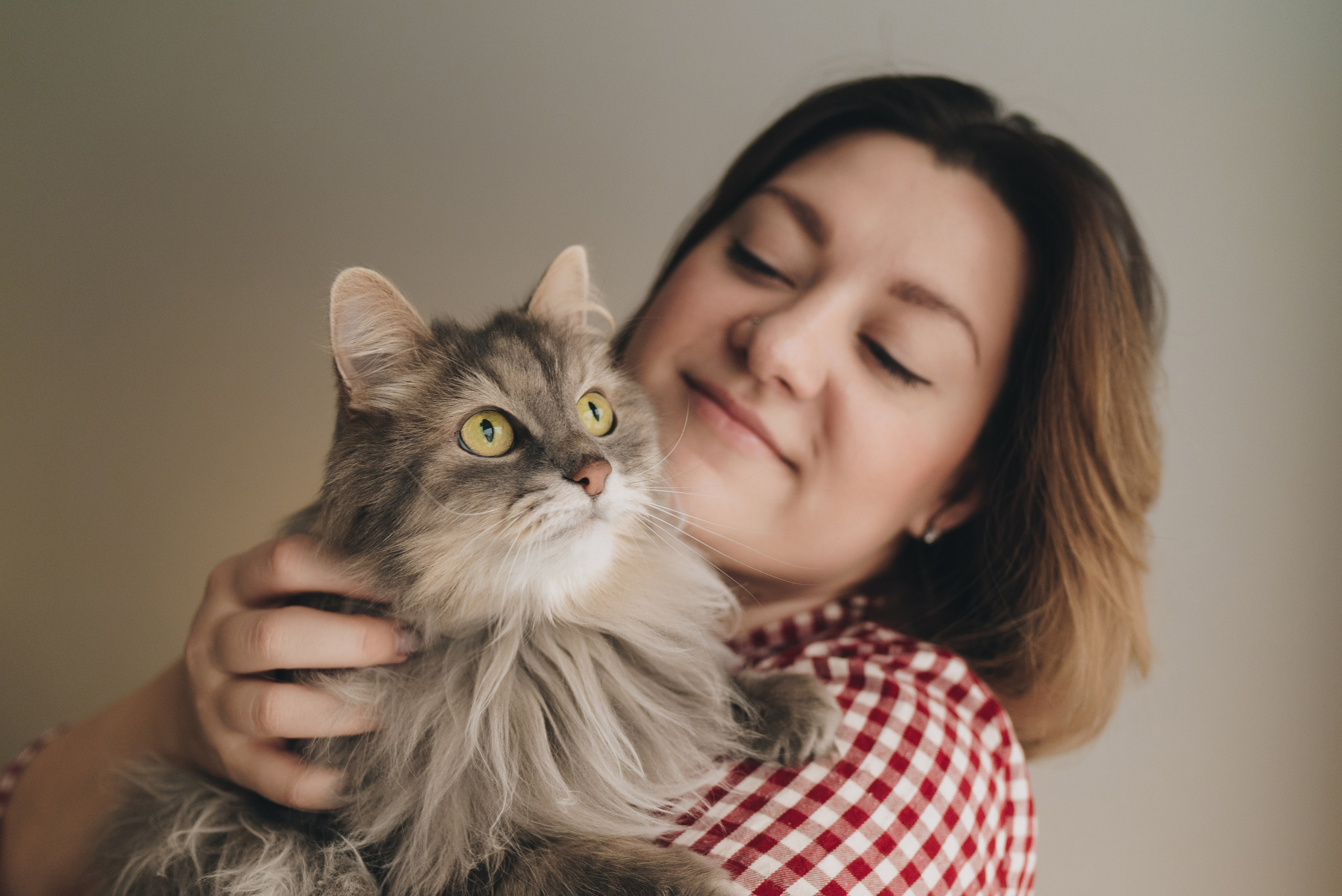 Vika & Kot. Natalia Finch Photography — Family, Kids & Pet Photographer in Chicago, IL