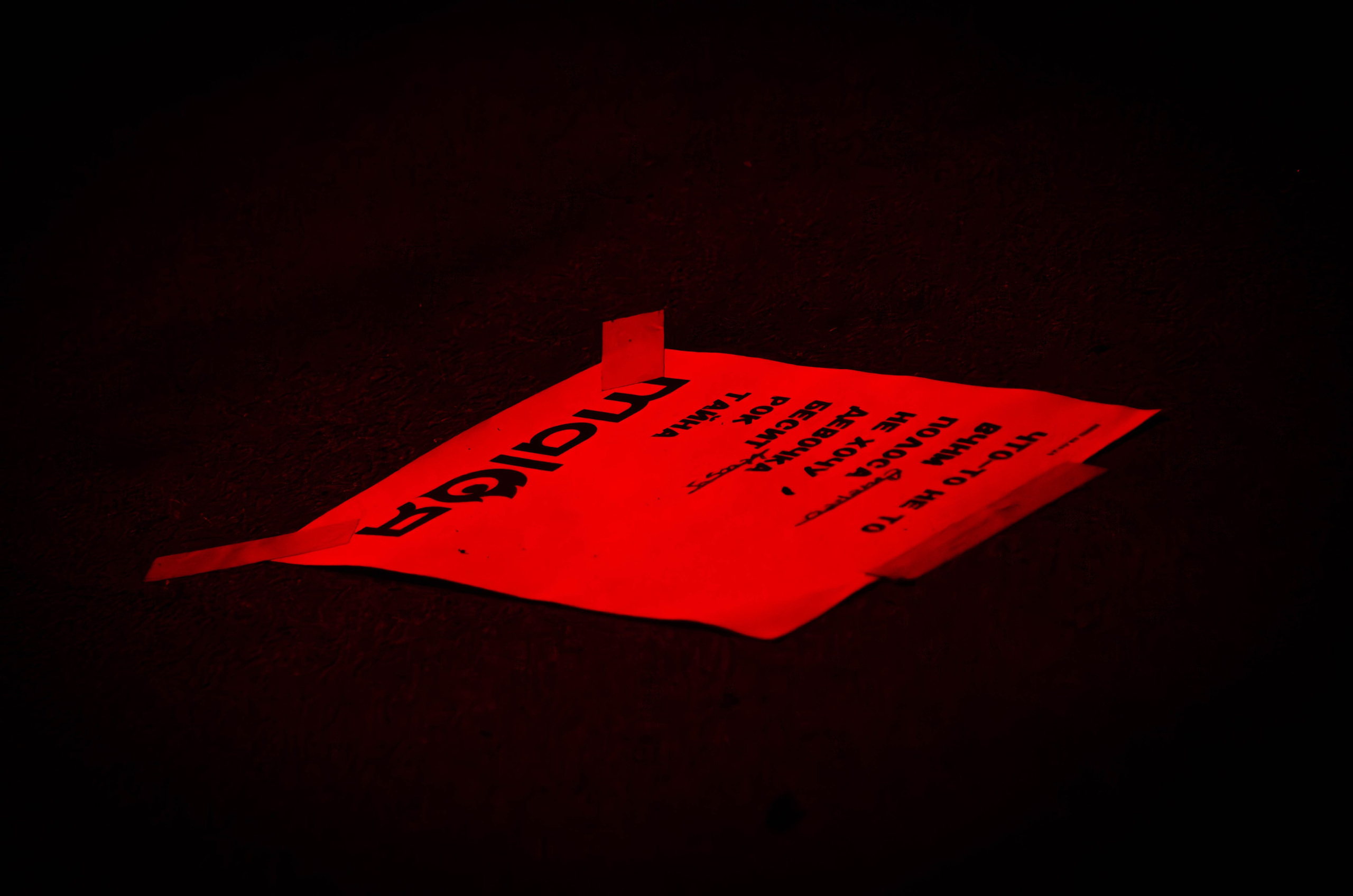 Malая (Нижний Новгород, 8 июня 2024 года, клуб Alcatraz). Фотограф Светлана Блинова, Москва и Московская область