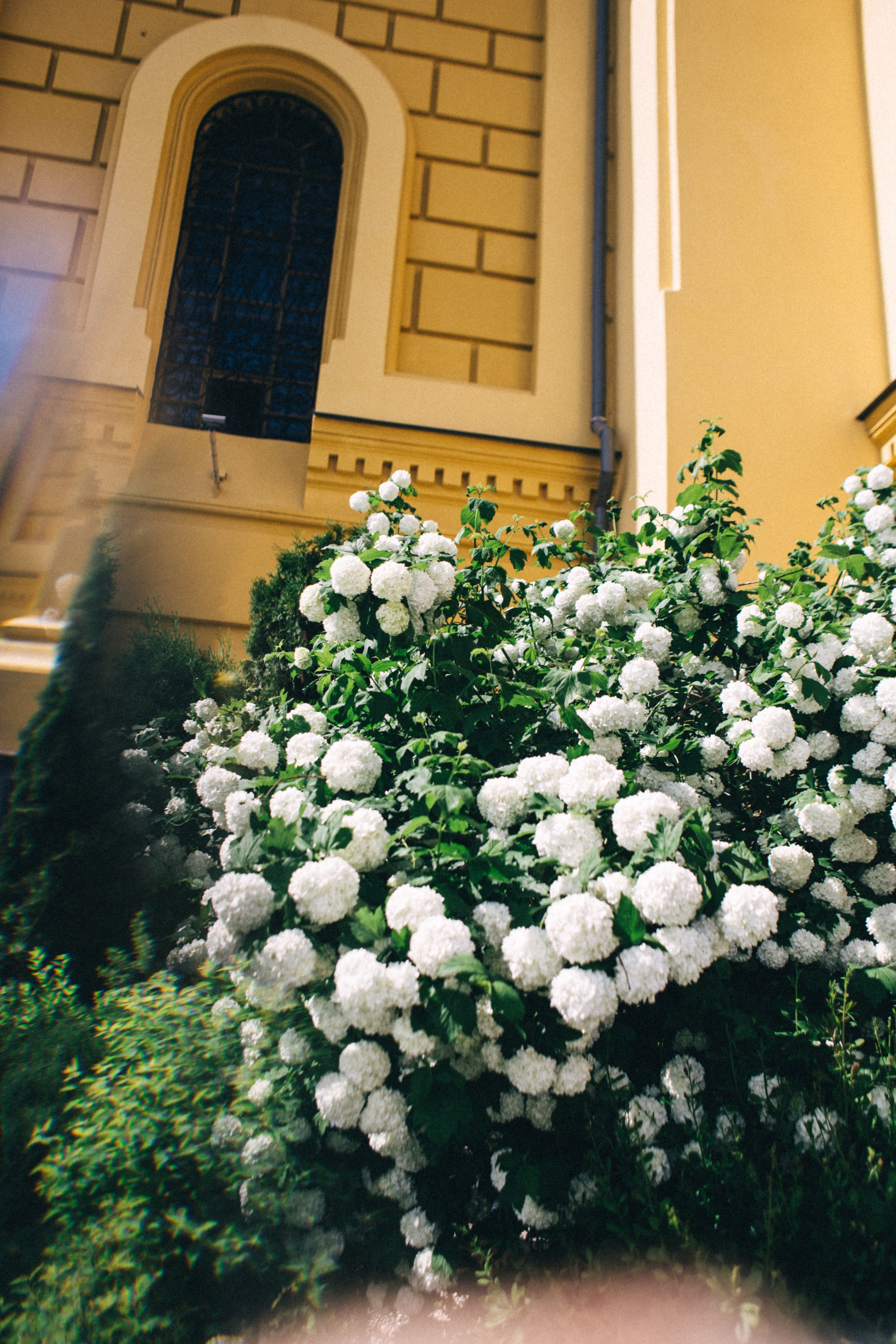 ФОТОПРОГУЛКА ПО Н.НОВГОРОДУ для туристов. Фотограф в Нижнем Новгороде