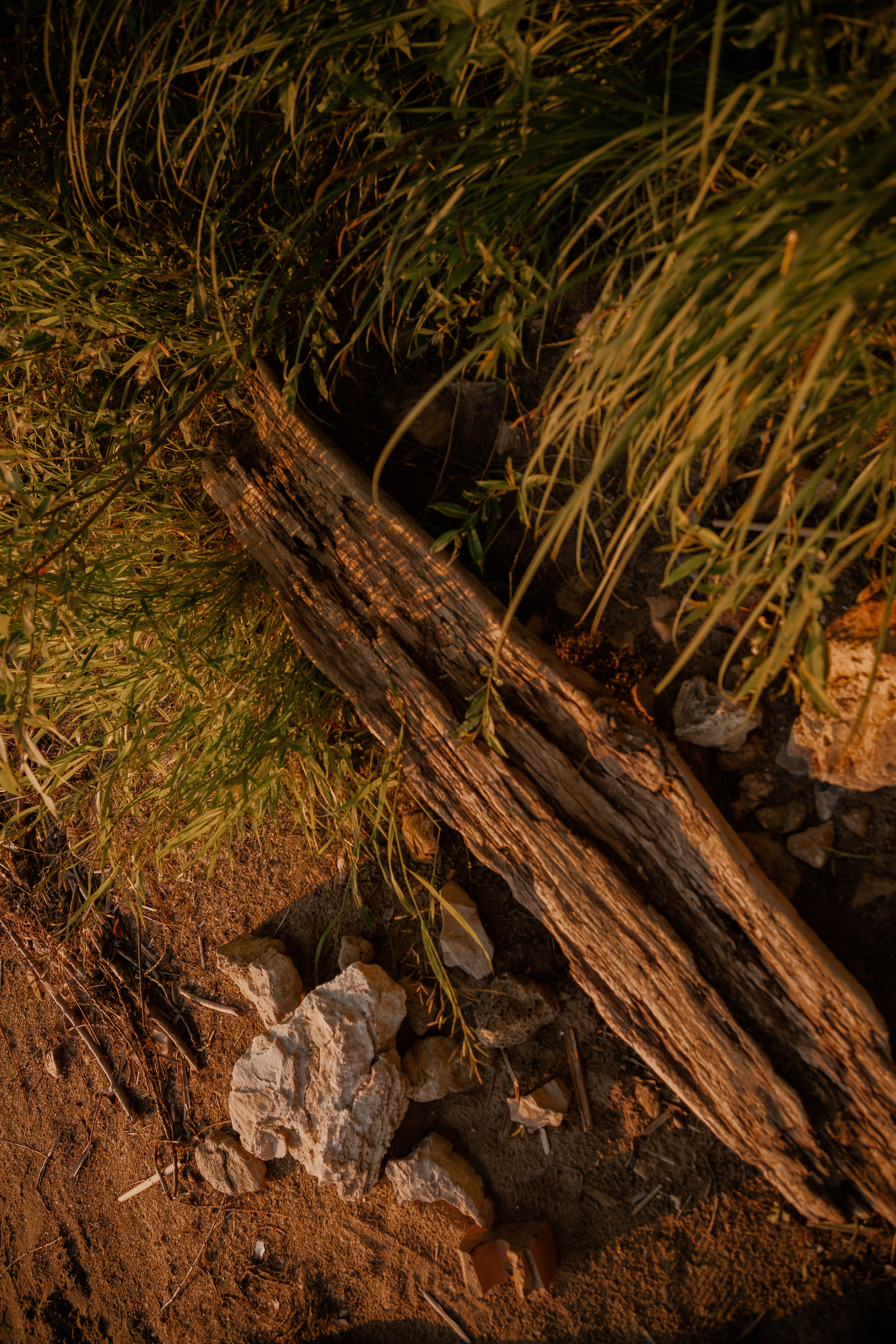 Илья+Мария+Миша ♥. Орнштейн Полина I Фотограф Самара