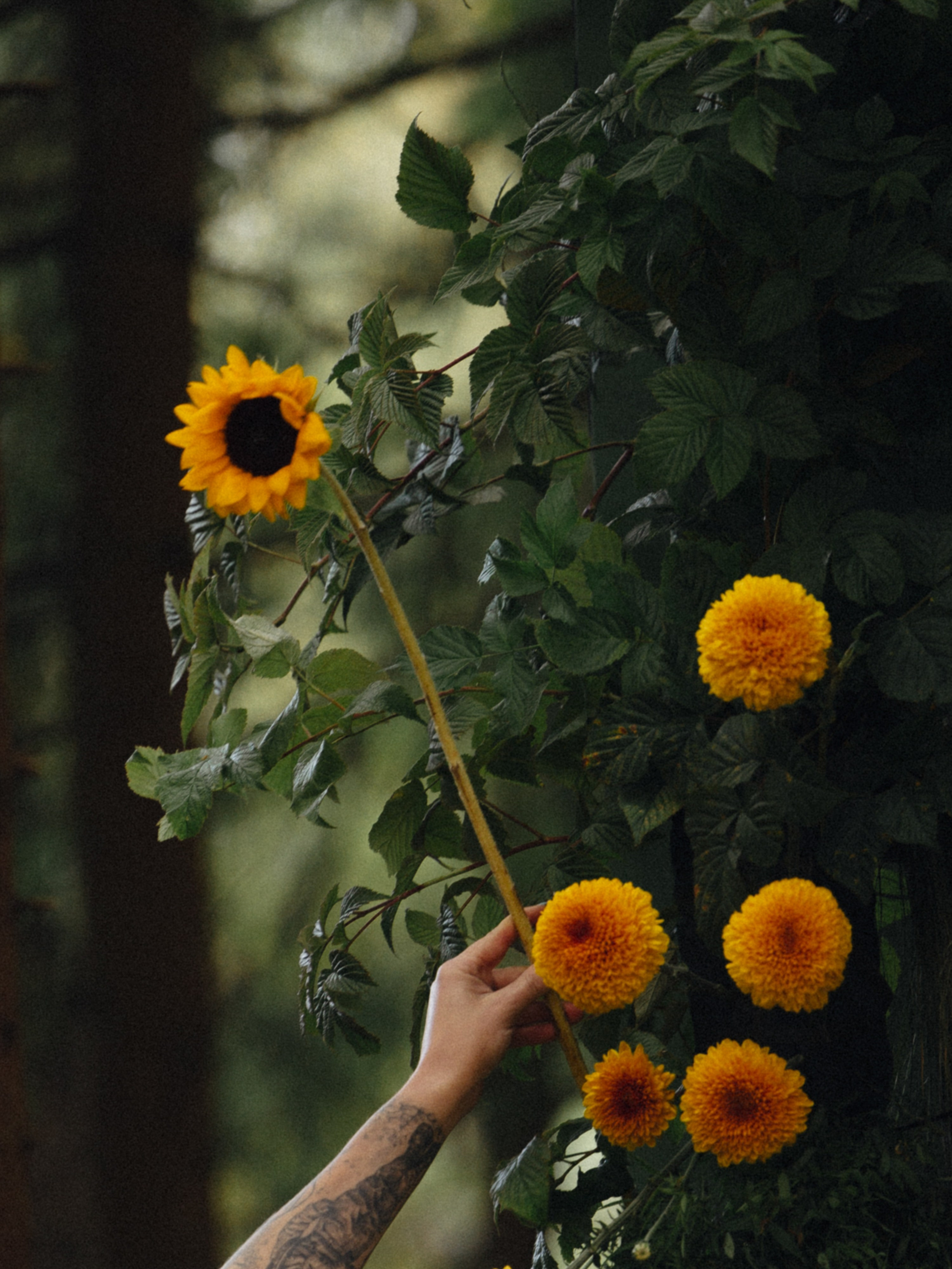 БЭК серия для организаторов. Эстетичный свадебный репортаж в любом городе страны