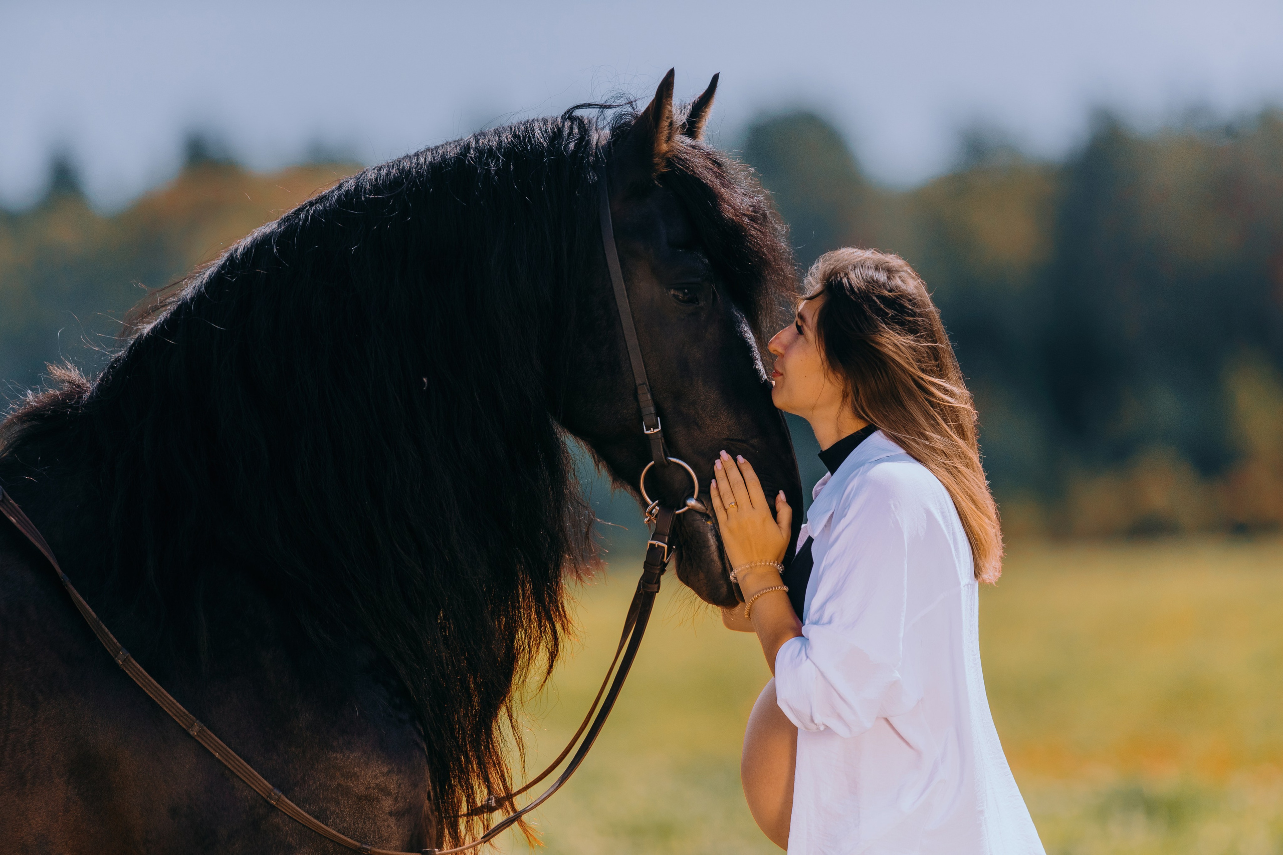 Лена, Серёжа, Петя и Брабус. Фотограф-анималист Ксендзова Кристина