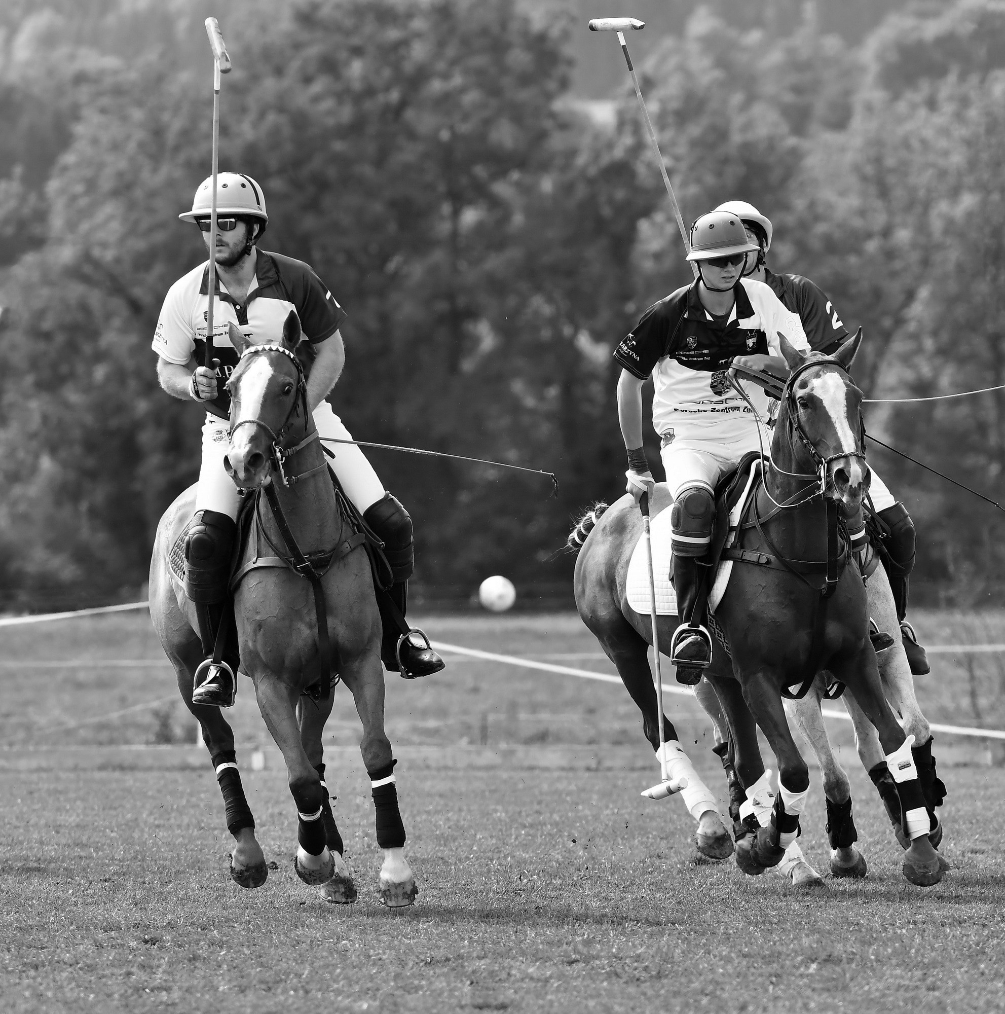 Polo art photos. Art photos of horses — ARTUR BABOEV | Photographer