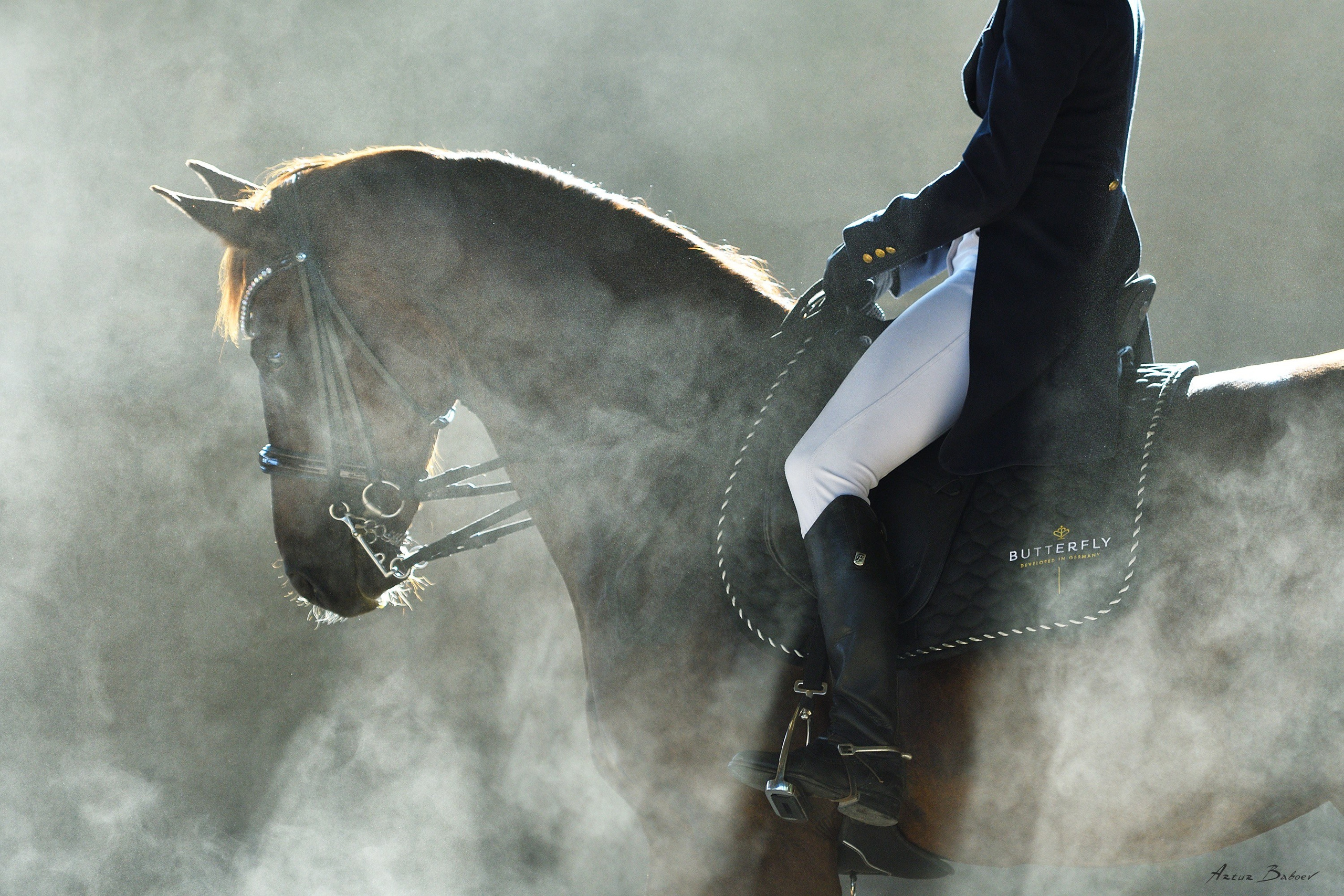 Gallery. Art photos of horses — ARTUR BABOEV | Photographer