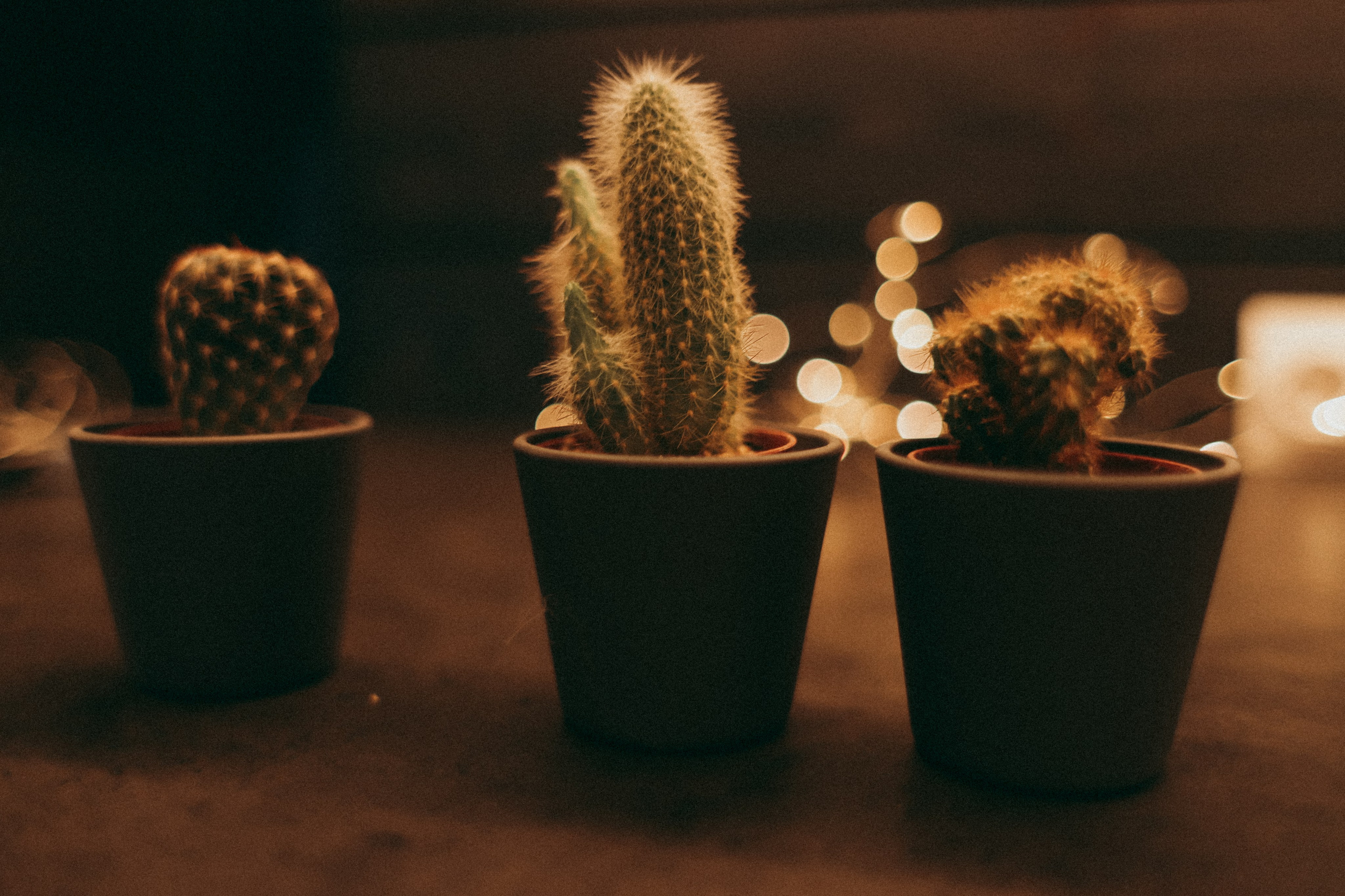 Инна и Вера. Фотограф Москва и Санкт-Петербург