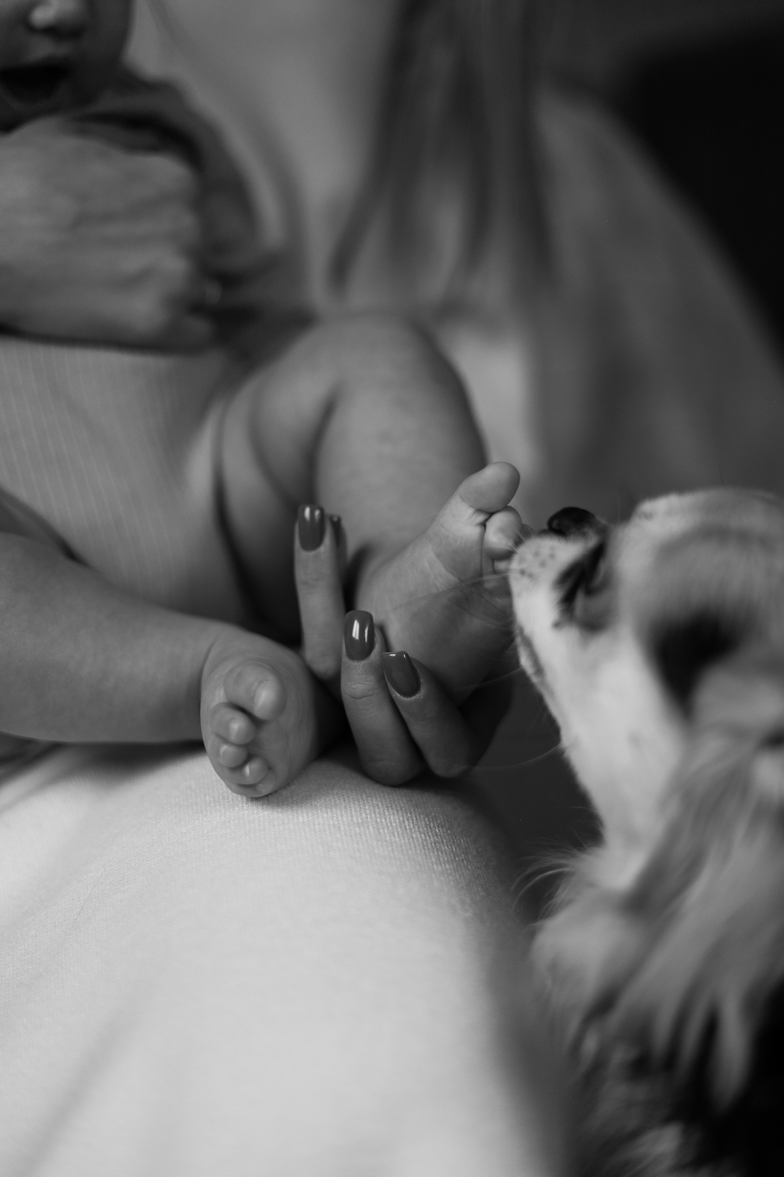 Домашняя. Фотограф Оксана Пономарева