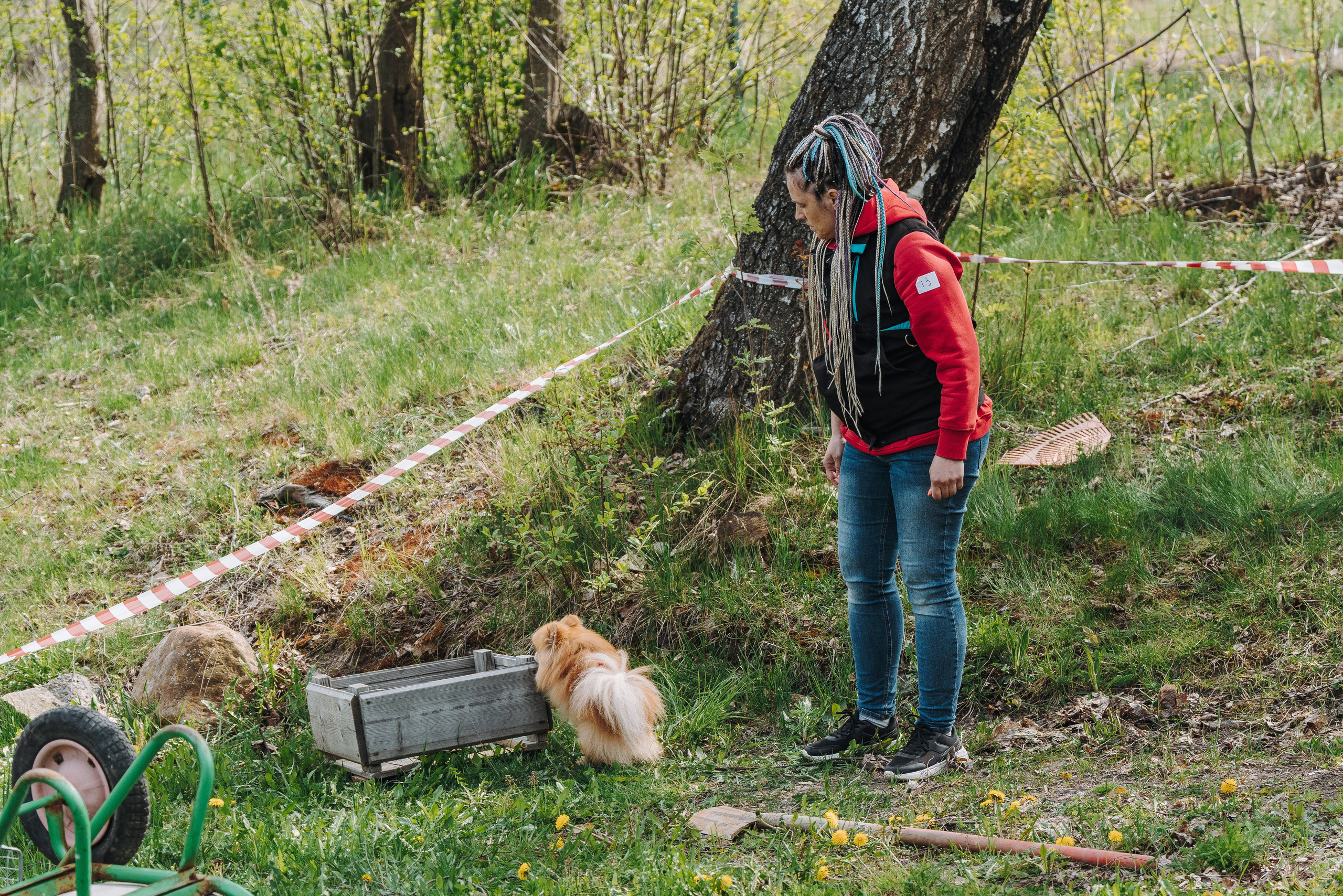 Соревнования по ноузворку в Лосево. Фотограф анималист в Спб недорого Олеся Майорова