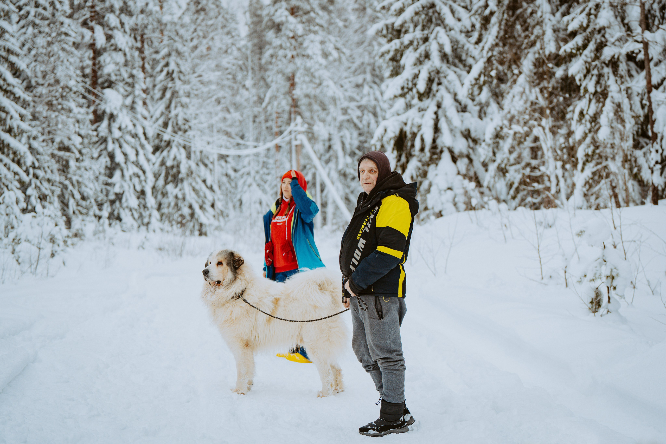 Дог трекинг. Фотограф анималист в Спб недорого Олеся Майорова