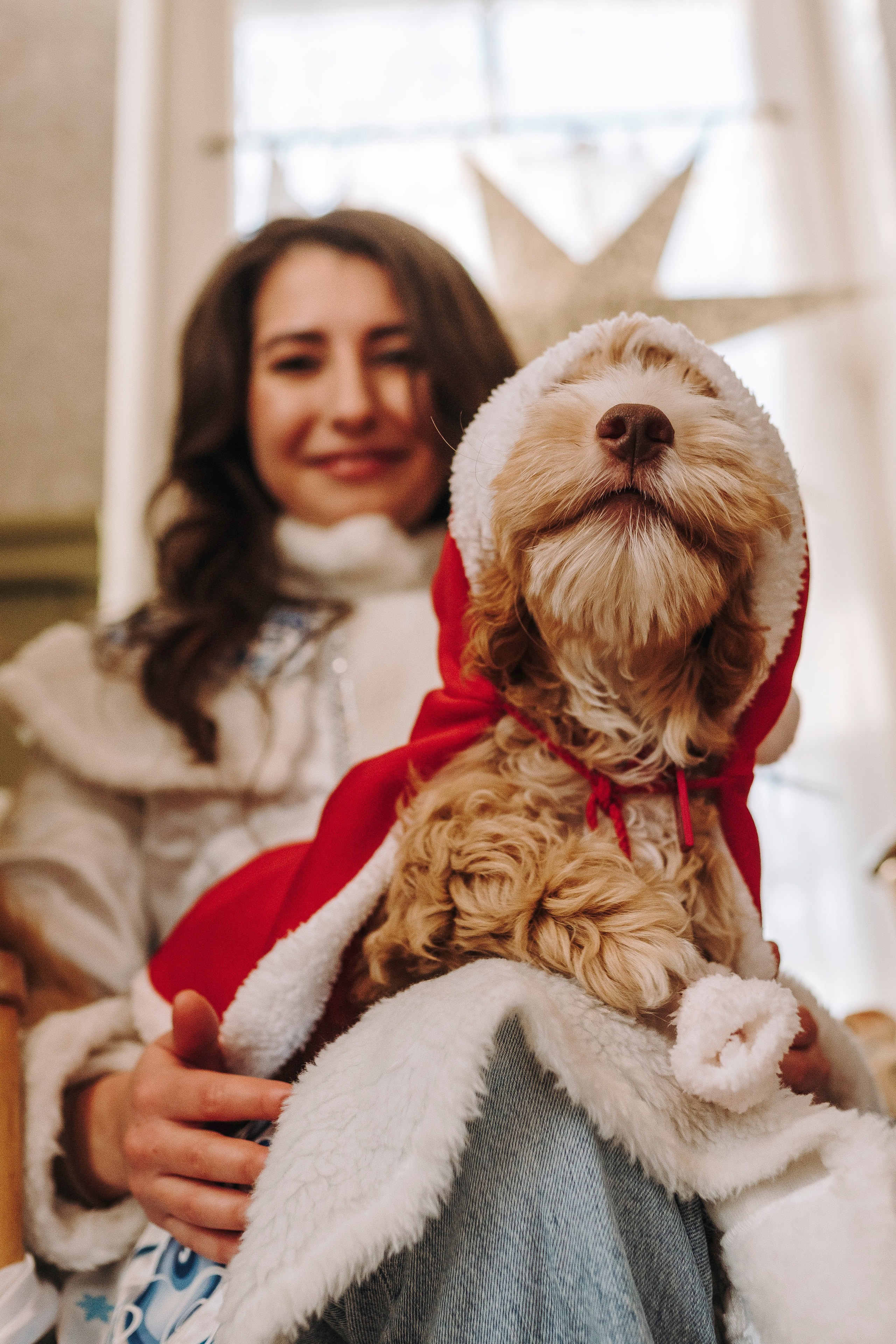 Мёрфи, Таня и Антон. Фотограф анималист в Спб недорого Олеся Майорова